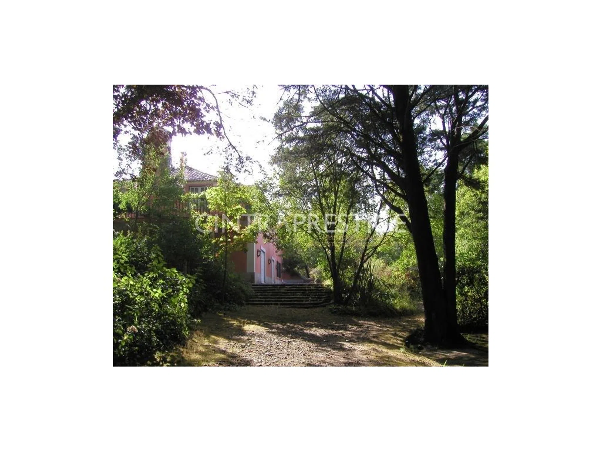 Quinta - Photo 9