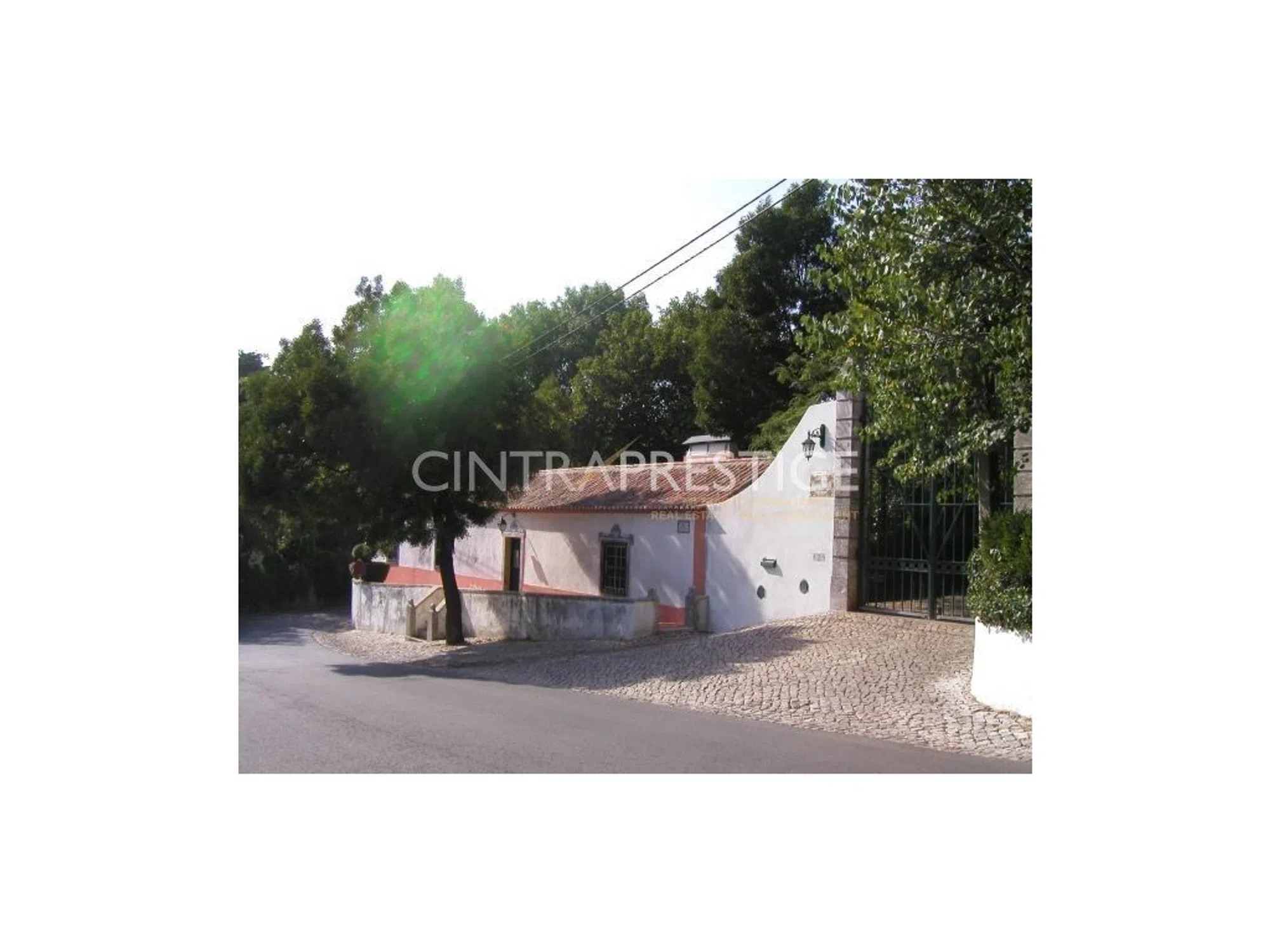 Quinta - Photo 10