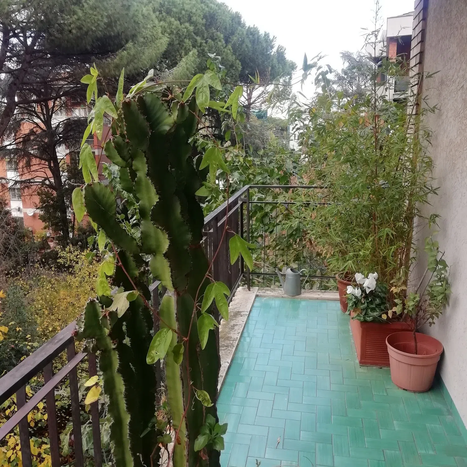 Appartamento in via Luigi Lilio, 95 - Photo 20
