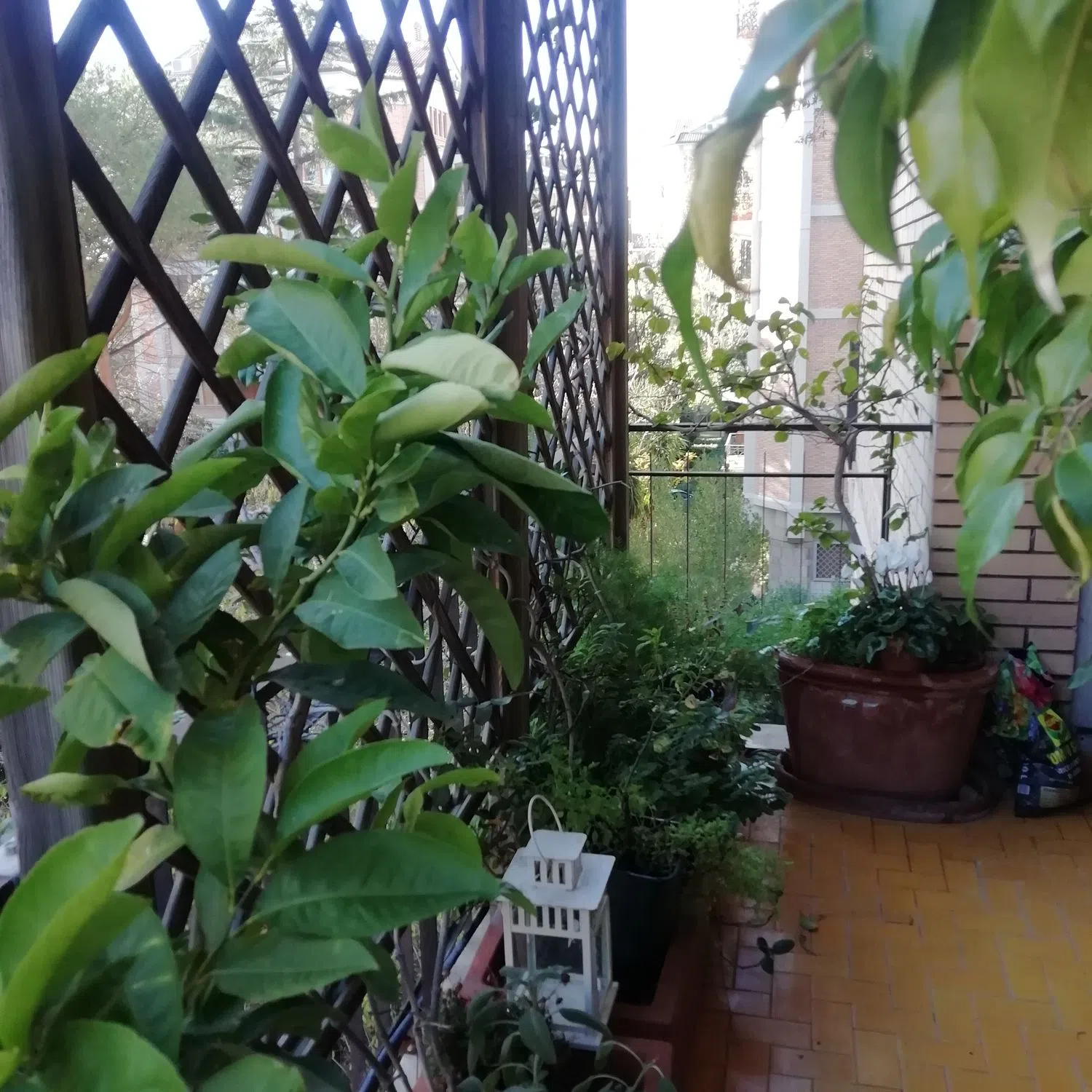 Appartamento in via Luigi Lilio, 95 - Photo 6