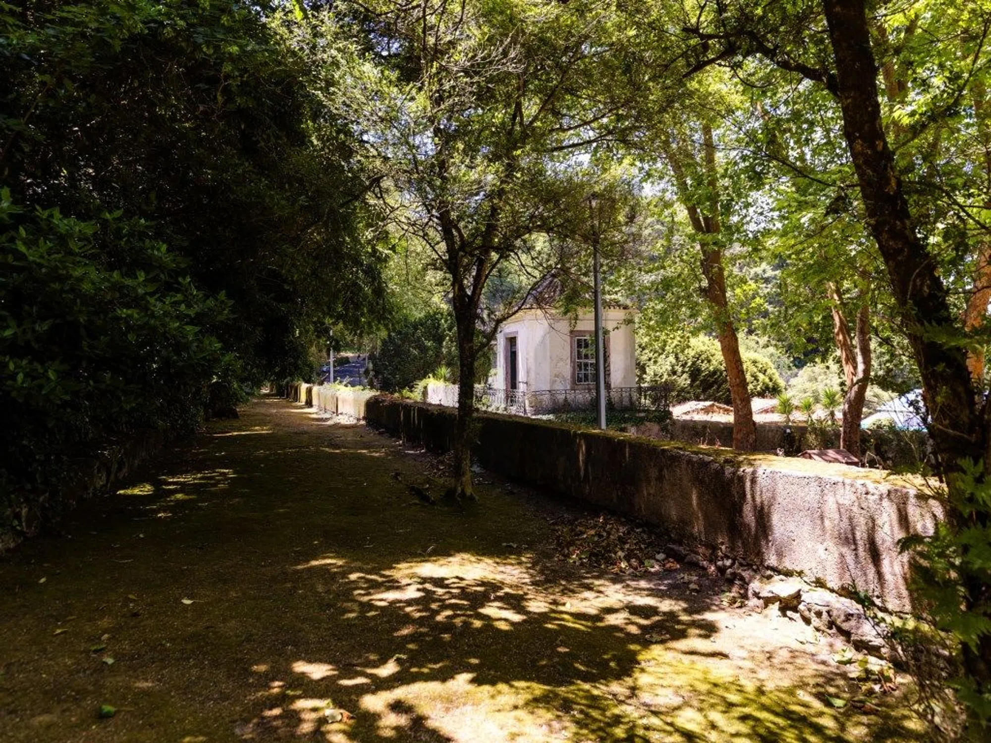 Quinta - Photo 11