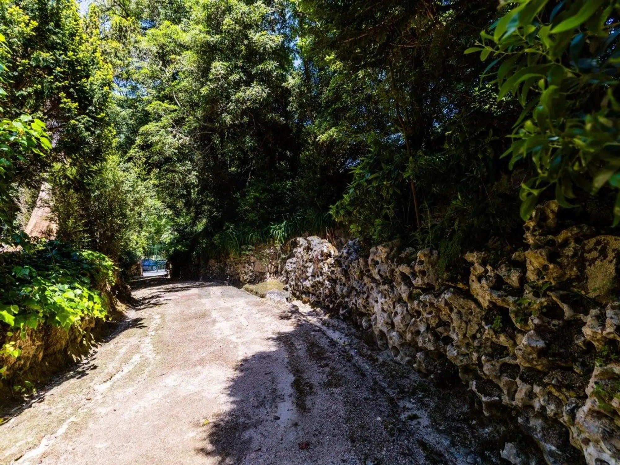 Quinta - Photo 12
