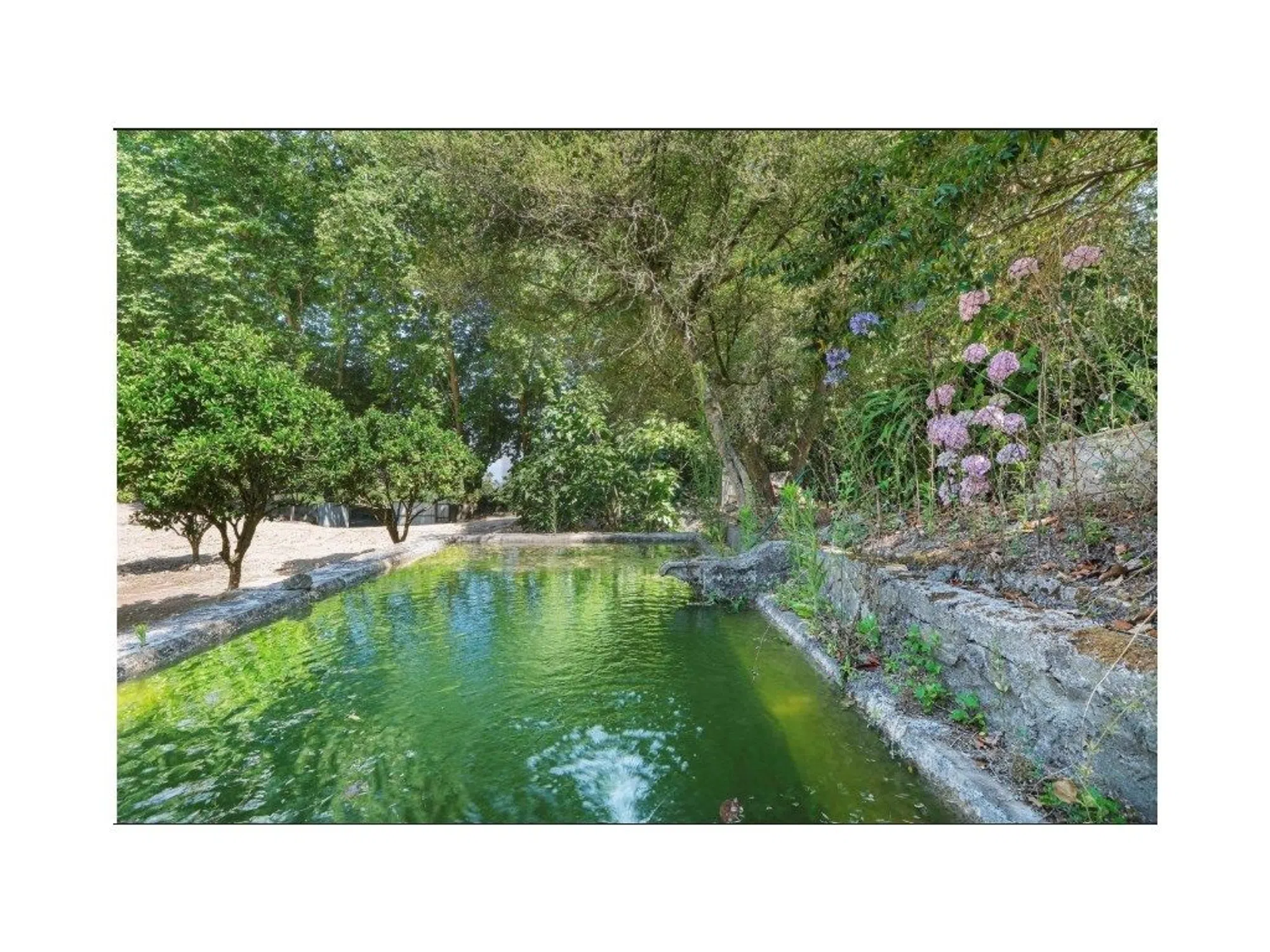 Quinta - Photo 13
