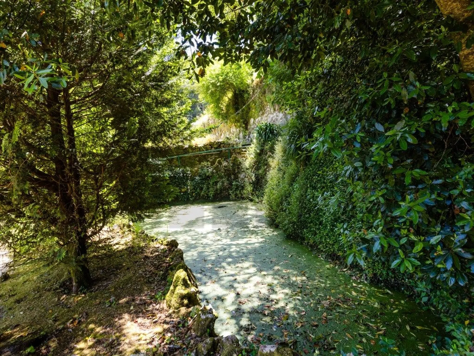 Quinta - Photo 14