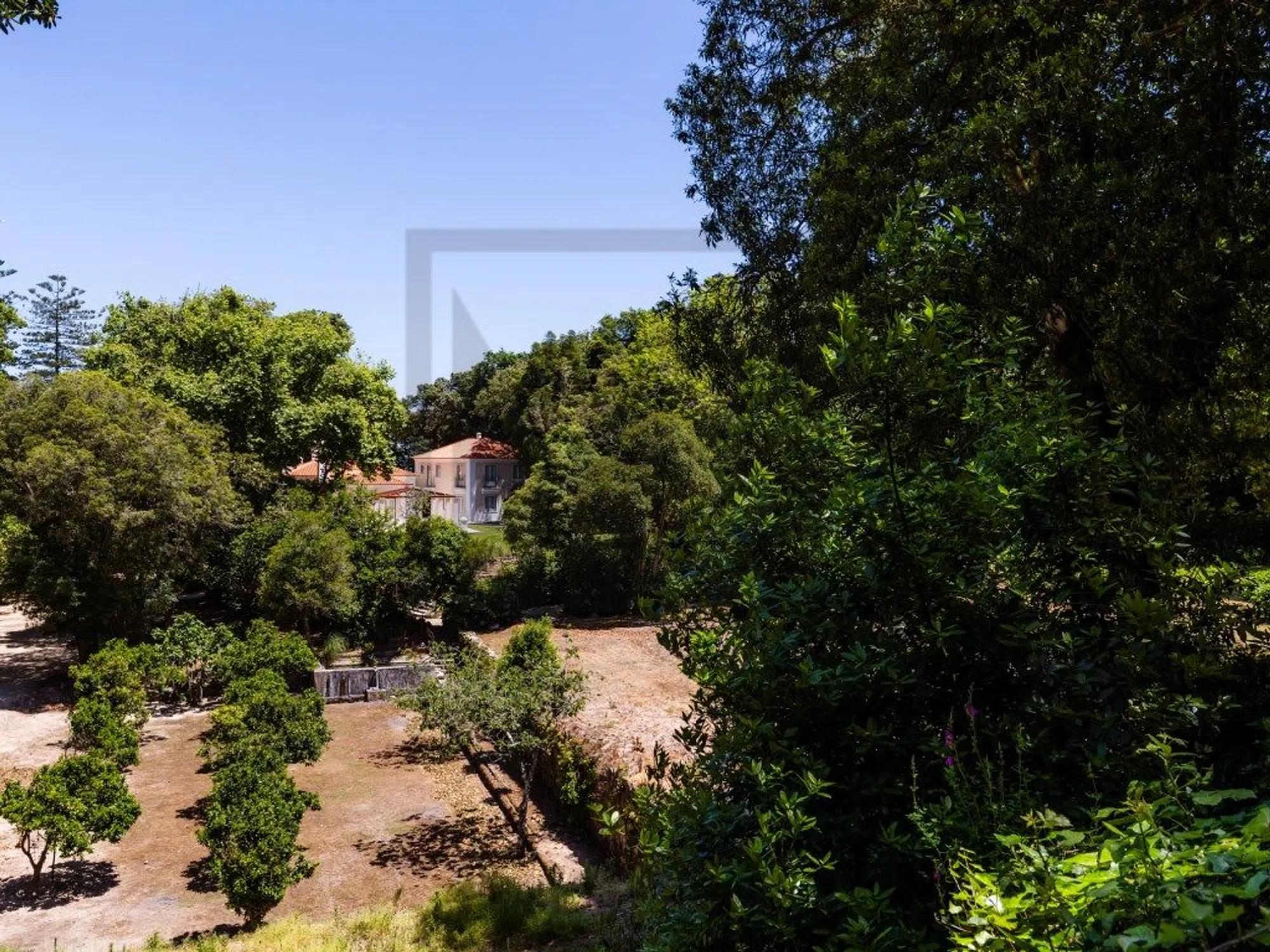 Quinta - Photo 16