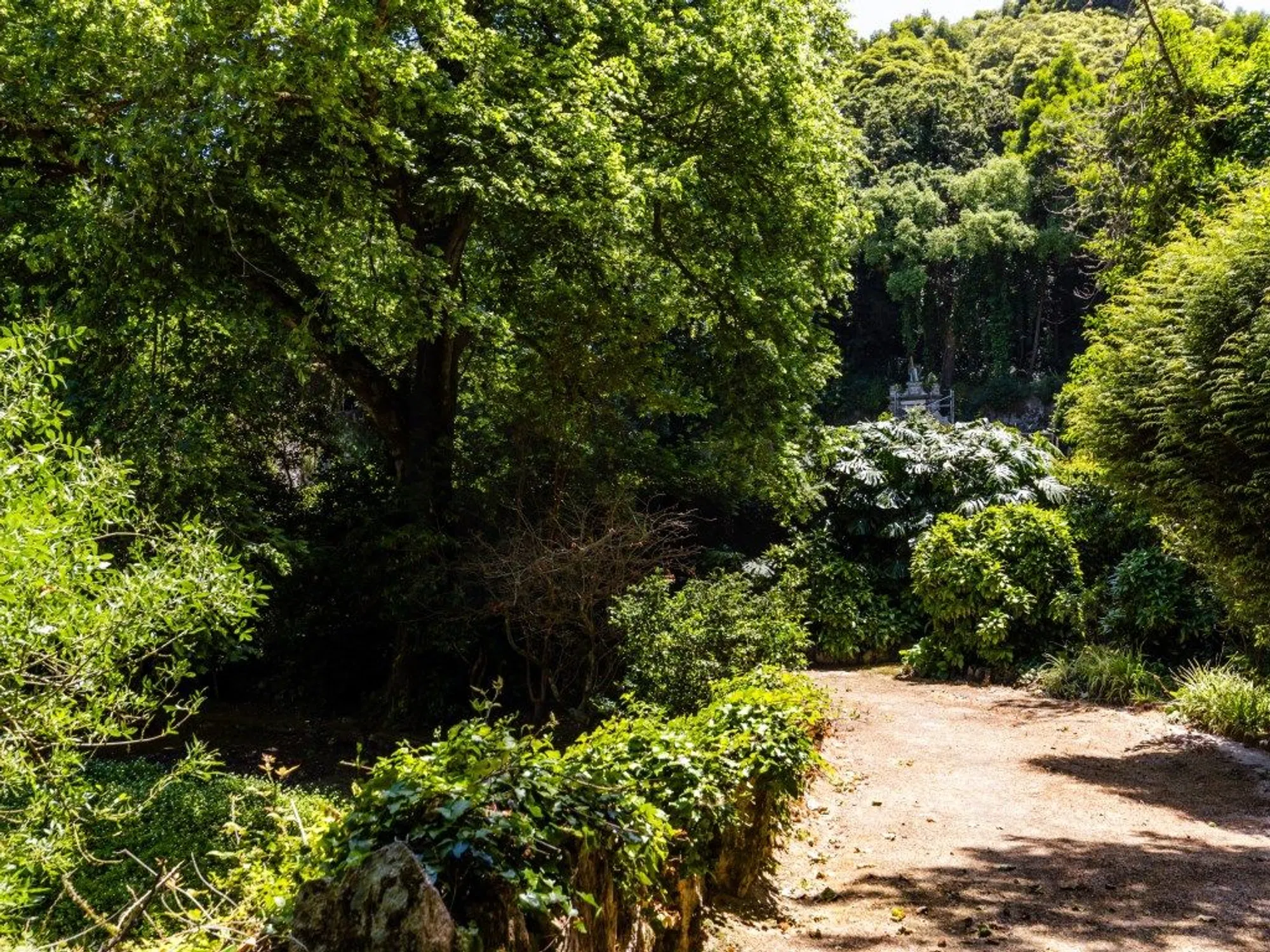 Quinta - Photo 17