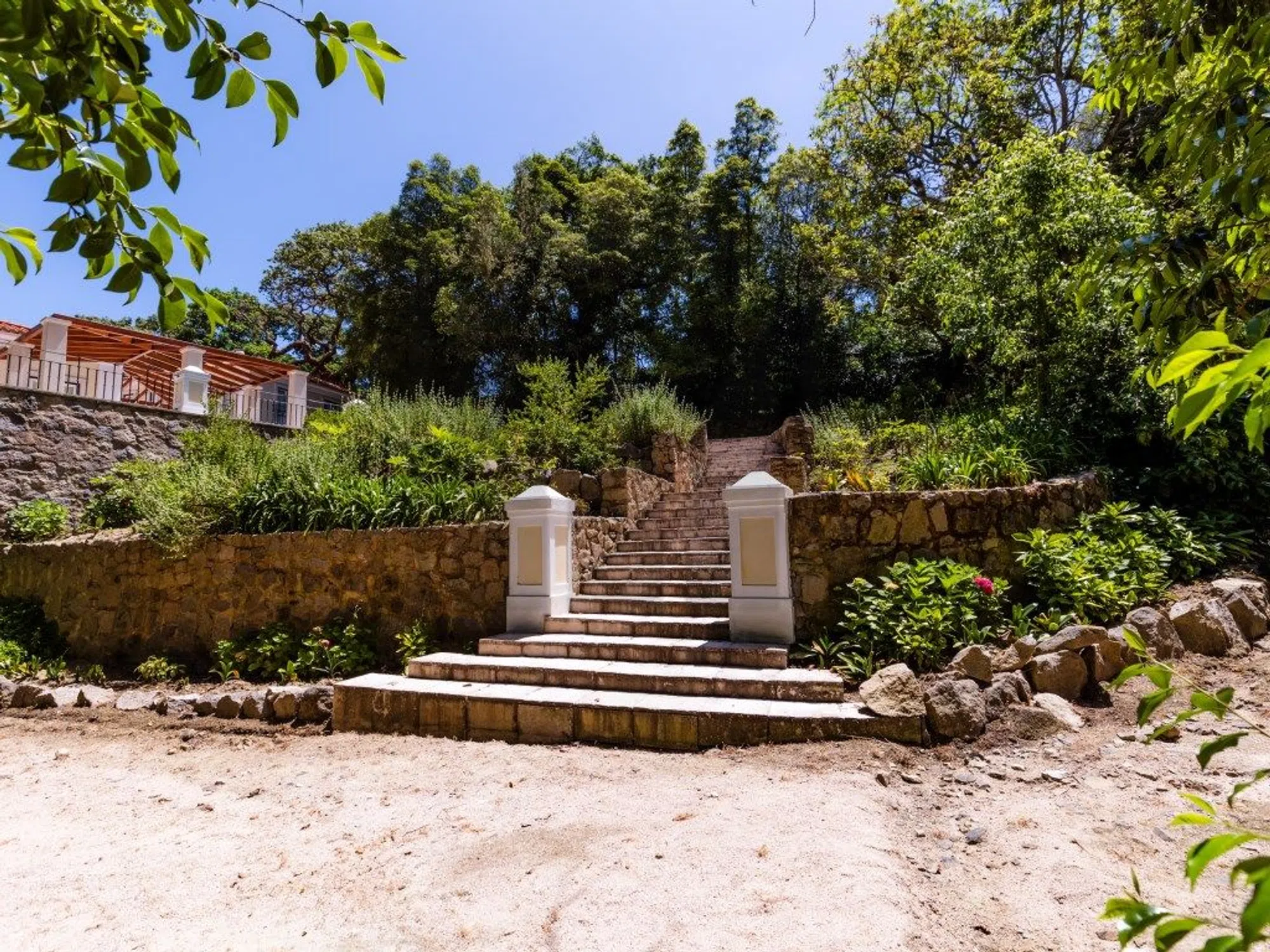 Quinta - Photo 20