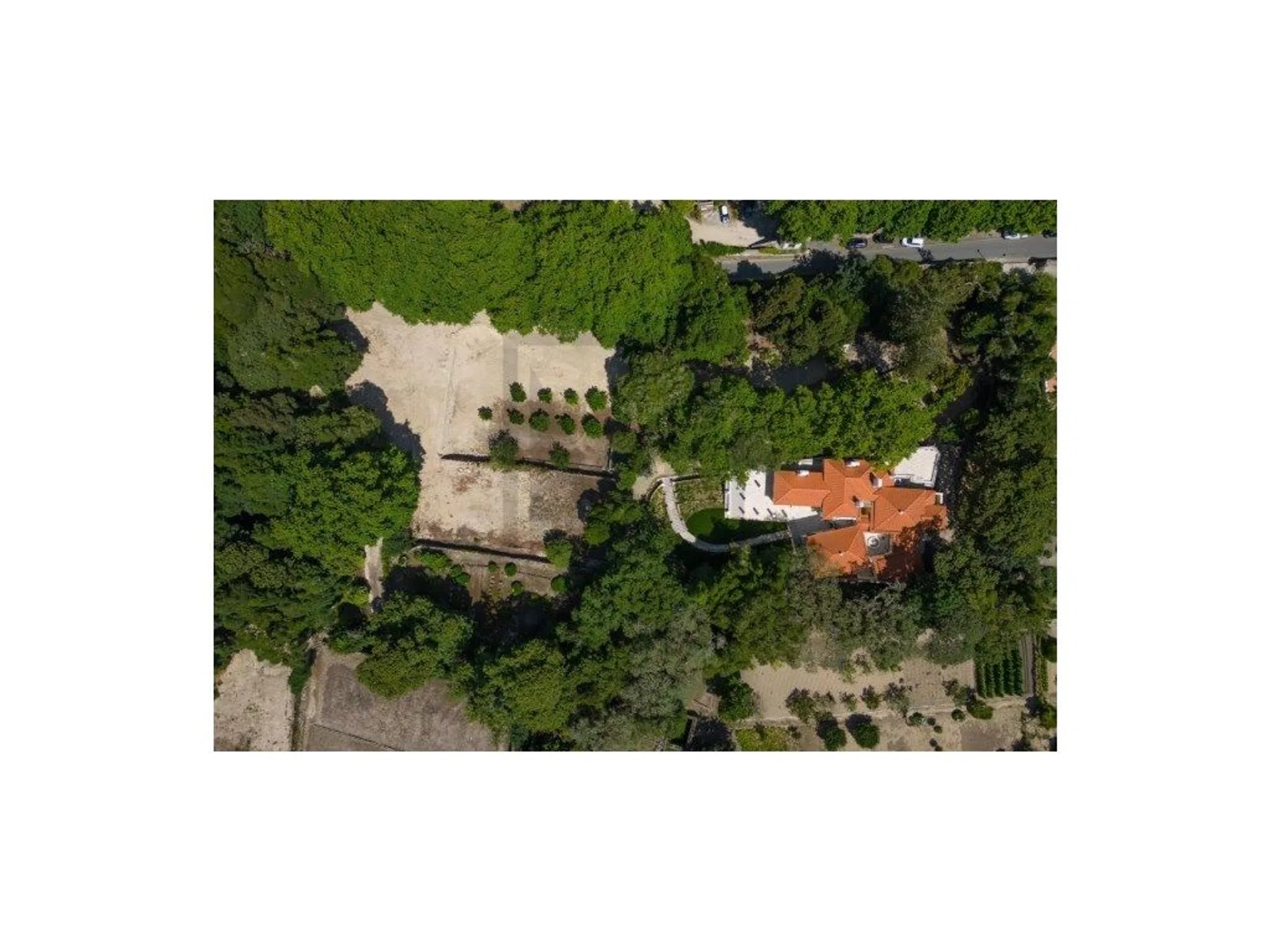 Quinta - Photo 3
