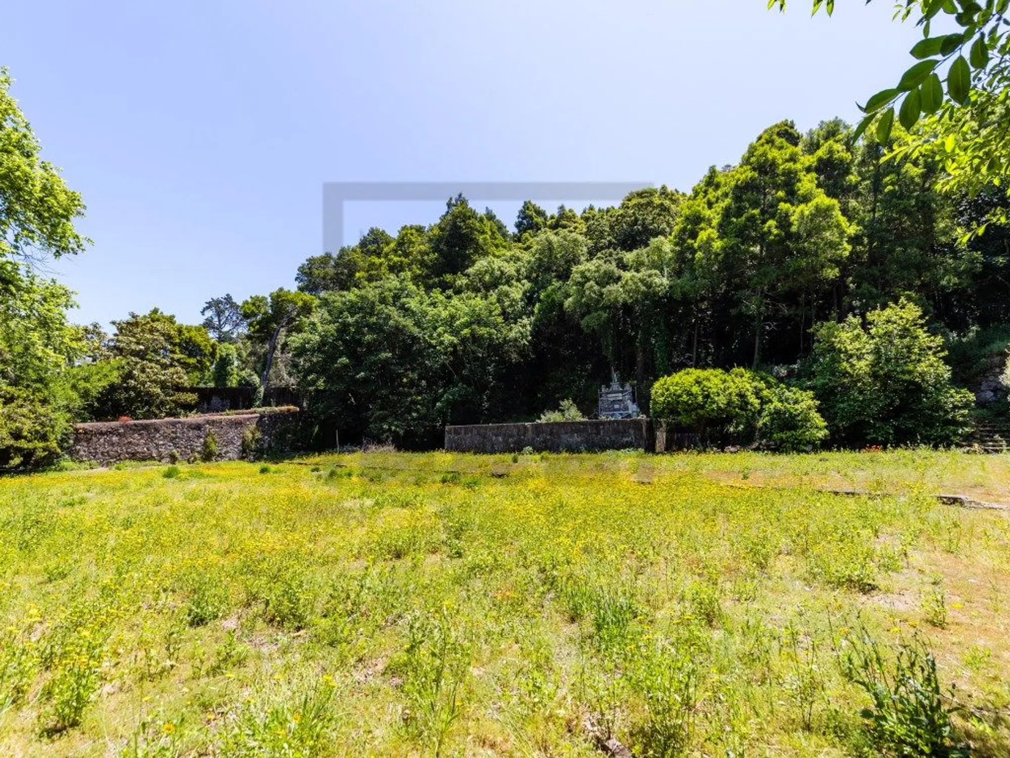 Quinta - Photo 5