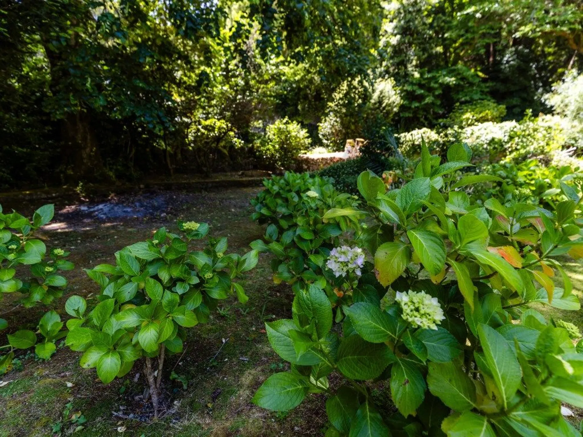 Quinta - Photo 7