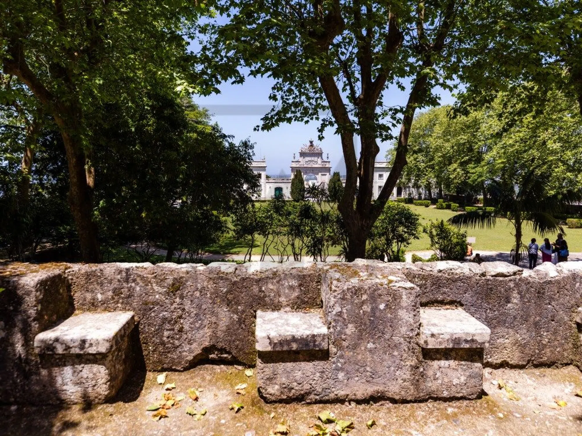 Quinta - Photo 10