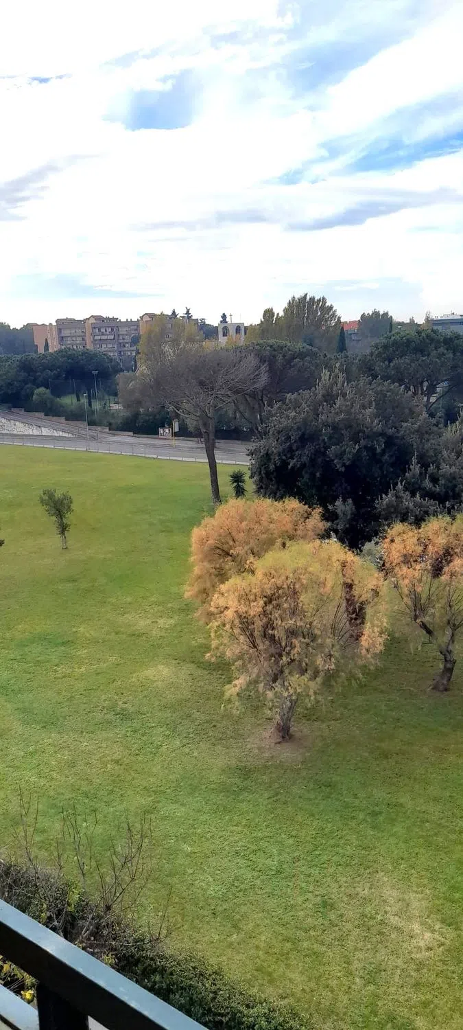 Bilocale in viale Alessandro Ruspoli, 201 - Photo 18