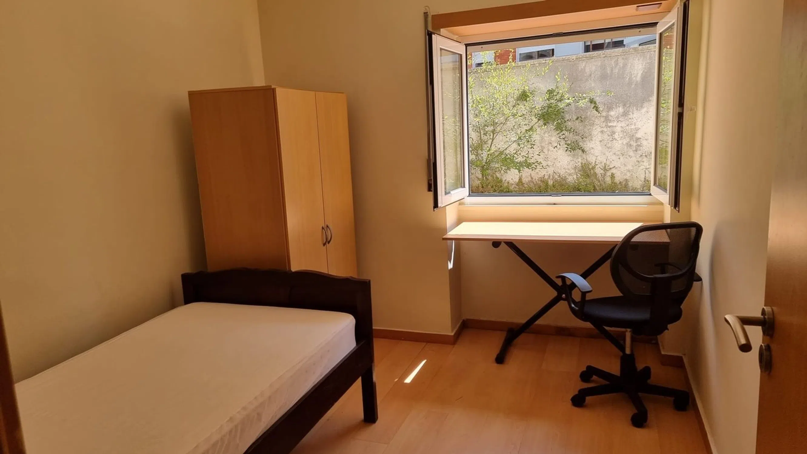 Apartamento - Photo 10