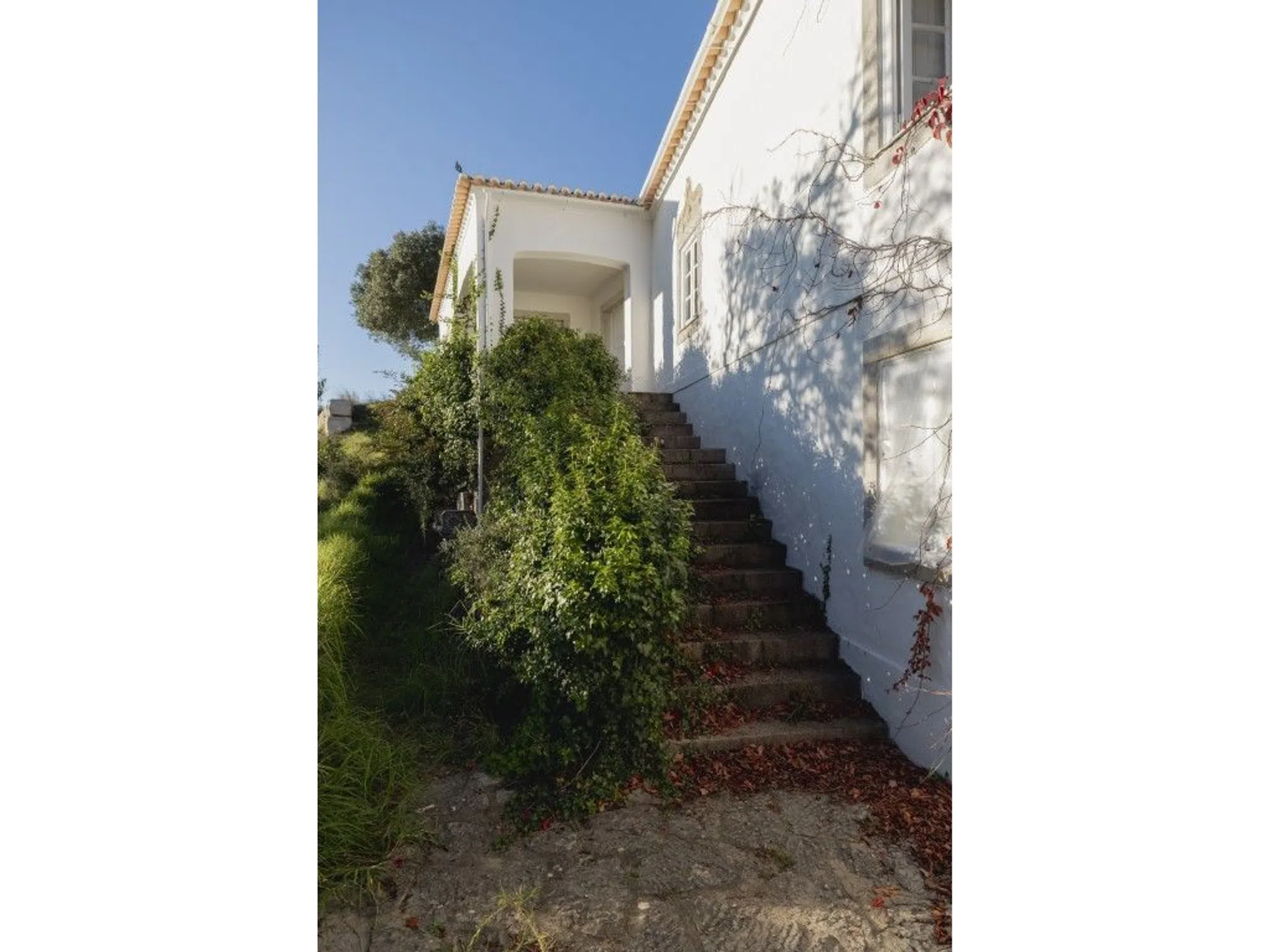 Quinta na rua de Santa Rita - Photo 9