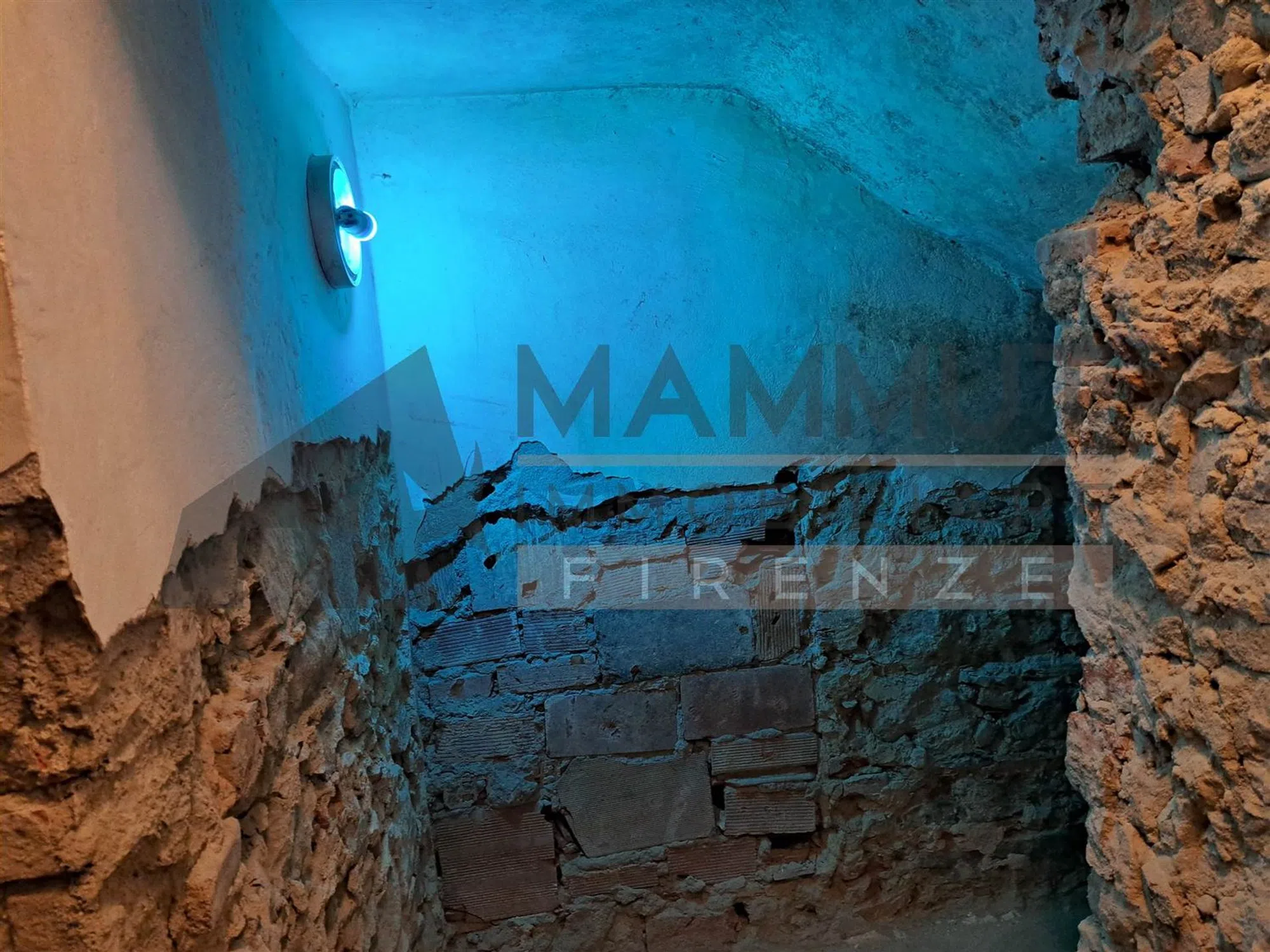 Appartamento in Quartiere Campo di Marte - Stadio - Photo 14