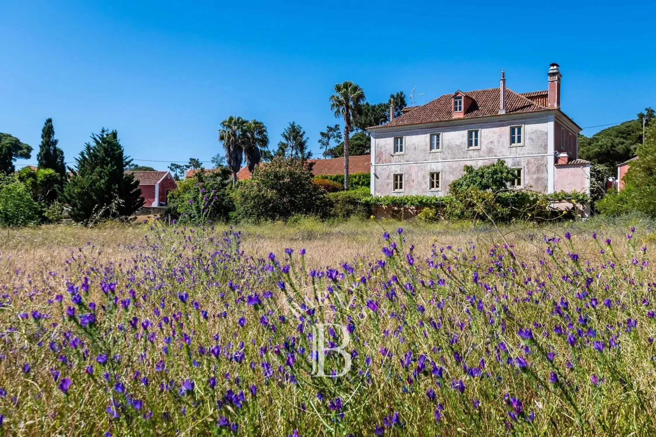 Quinta - Photo 2