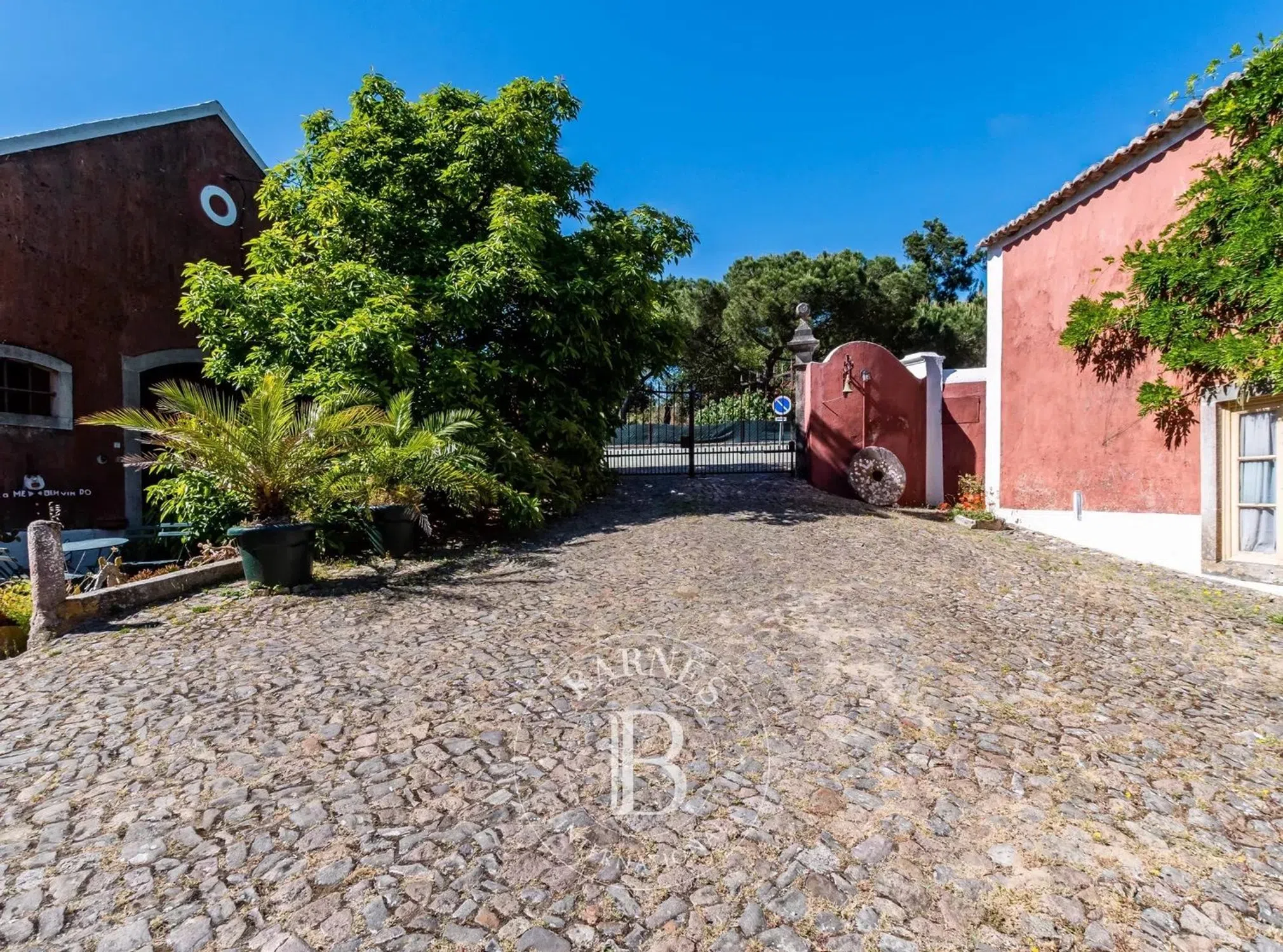 Quinta - Photo 13