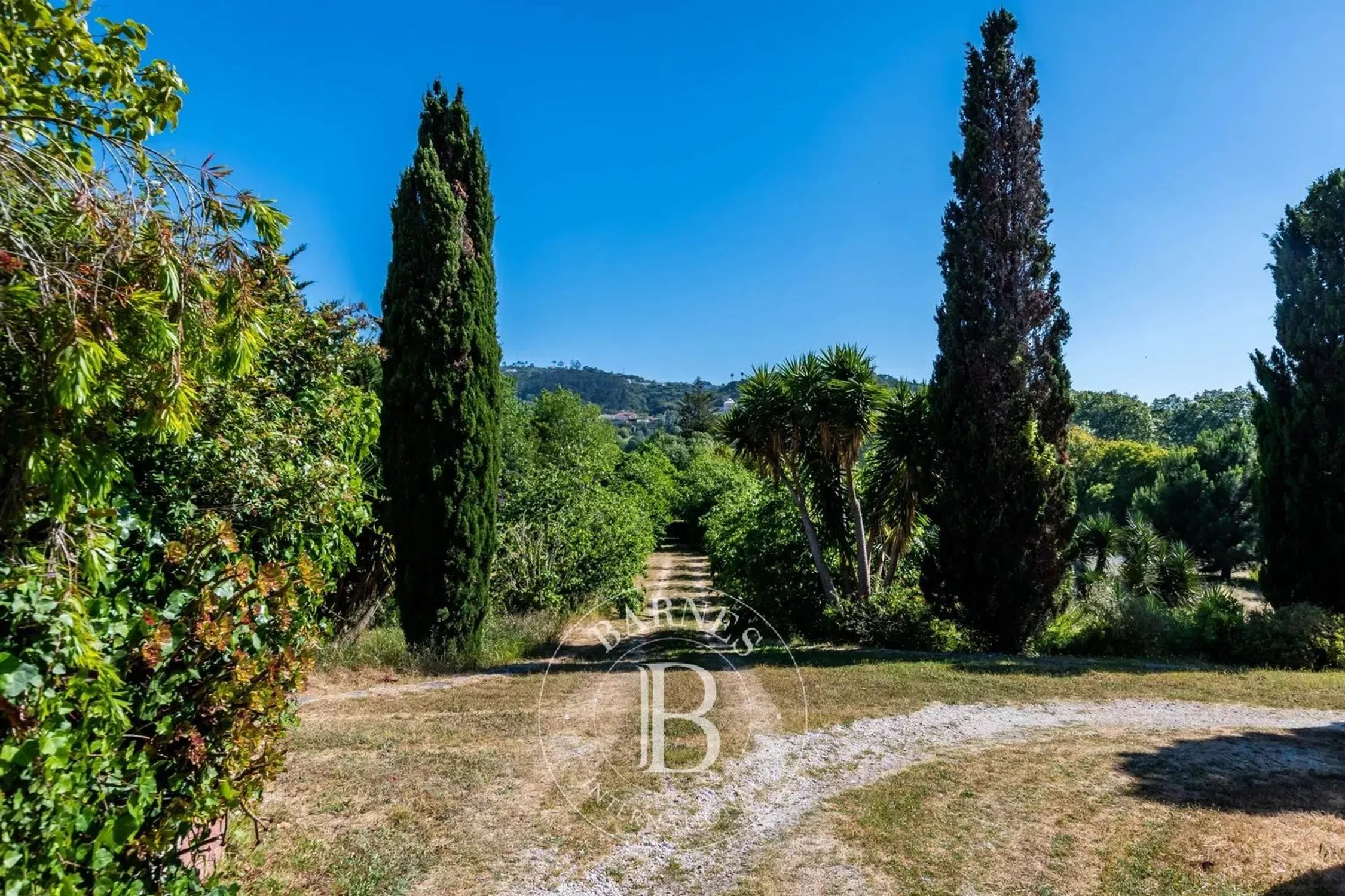 Quinta - Photo 15