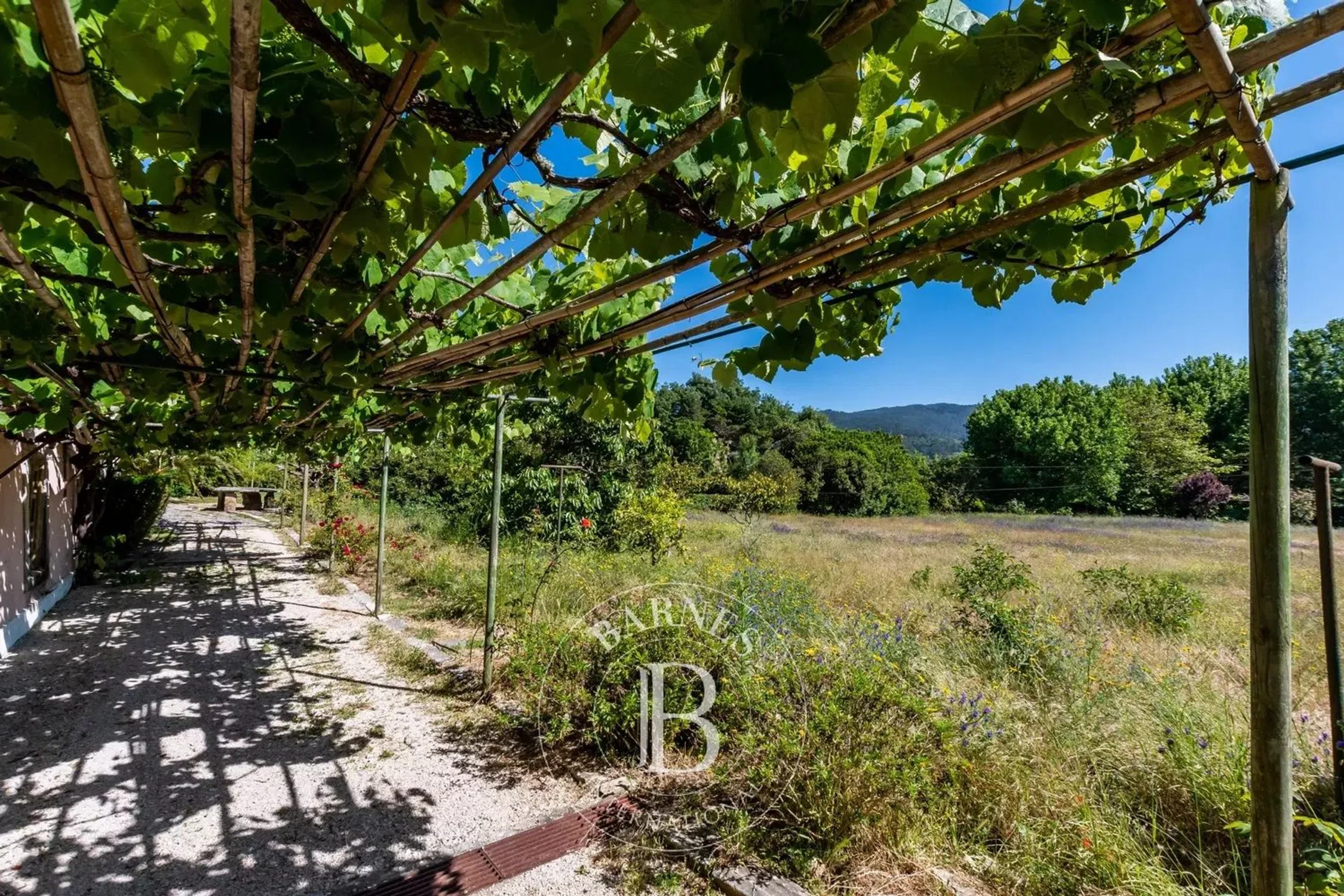 Quinta - Photo 3