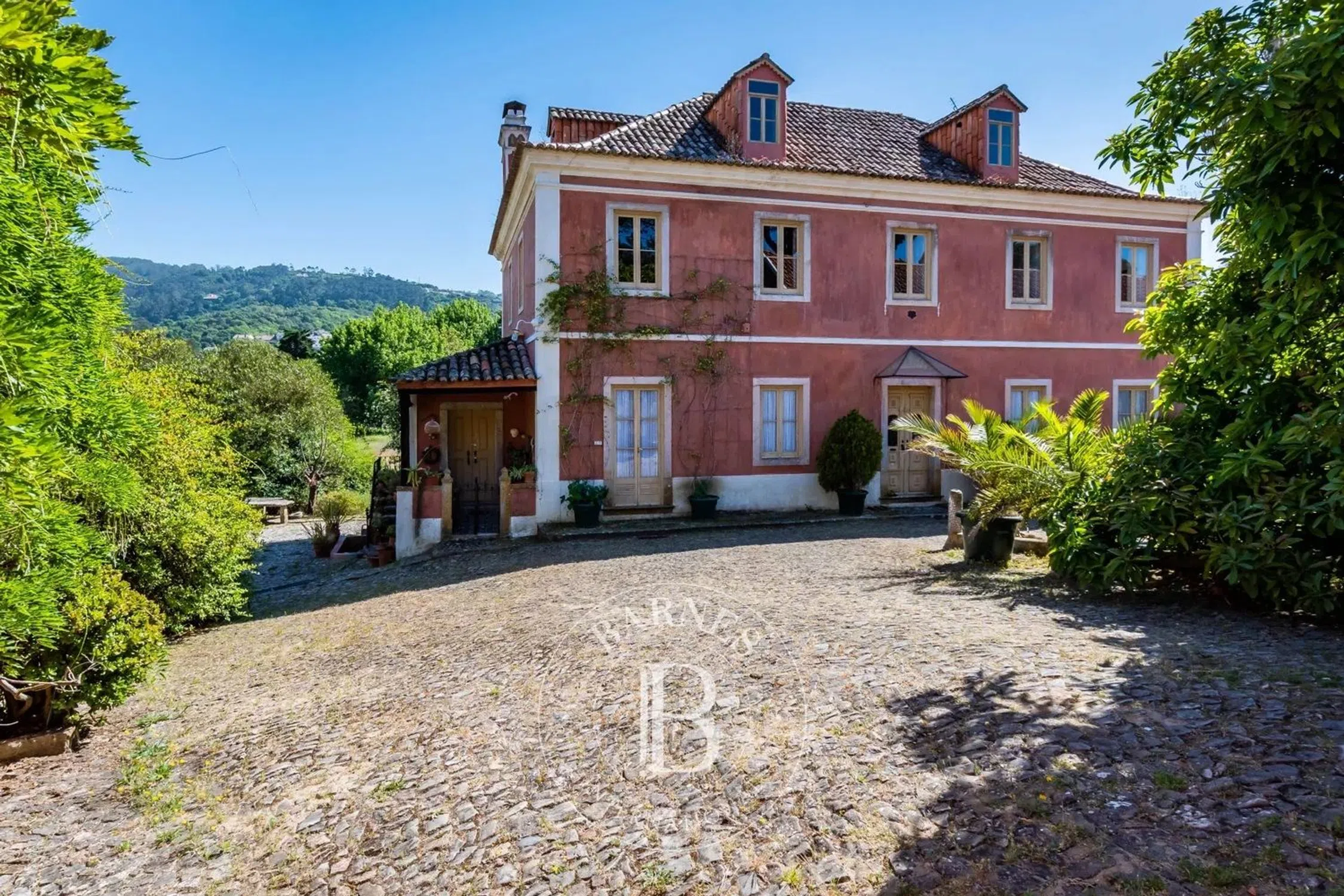 Quinta - Photo 4