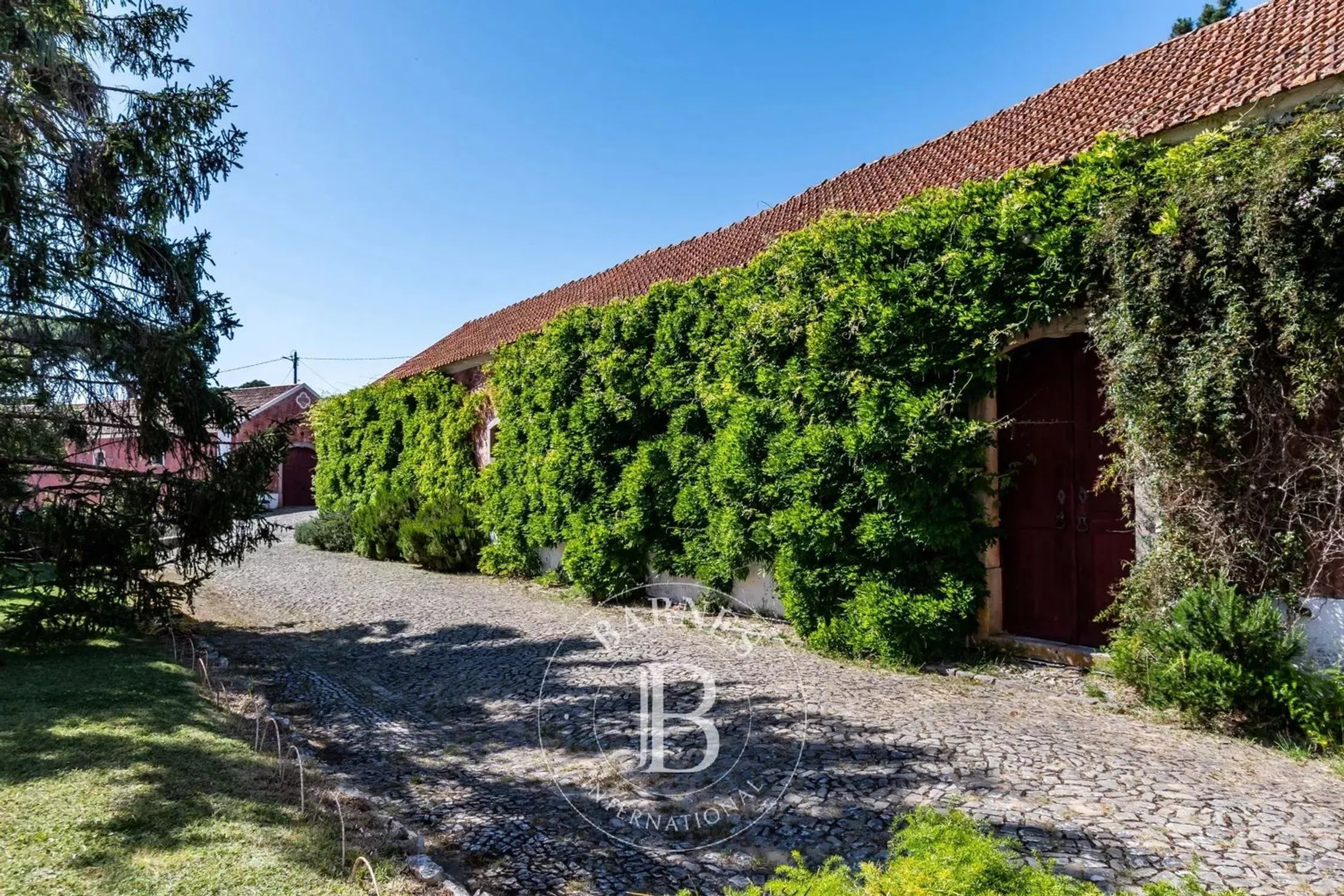 Quinta - Photo 7