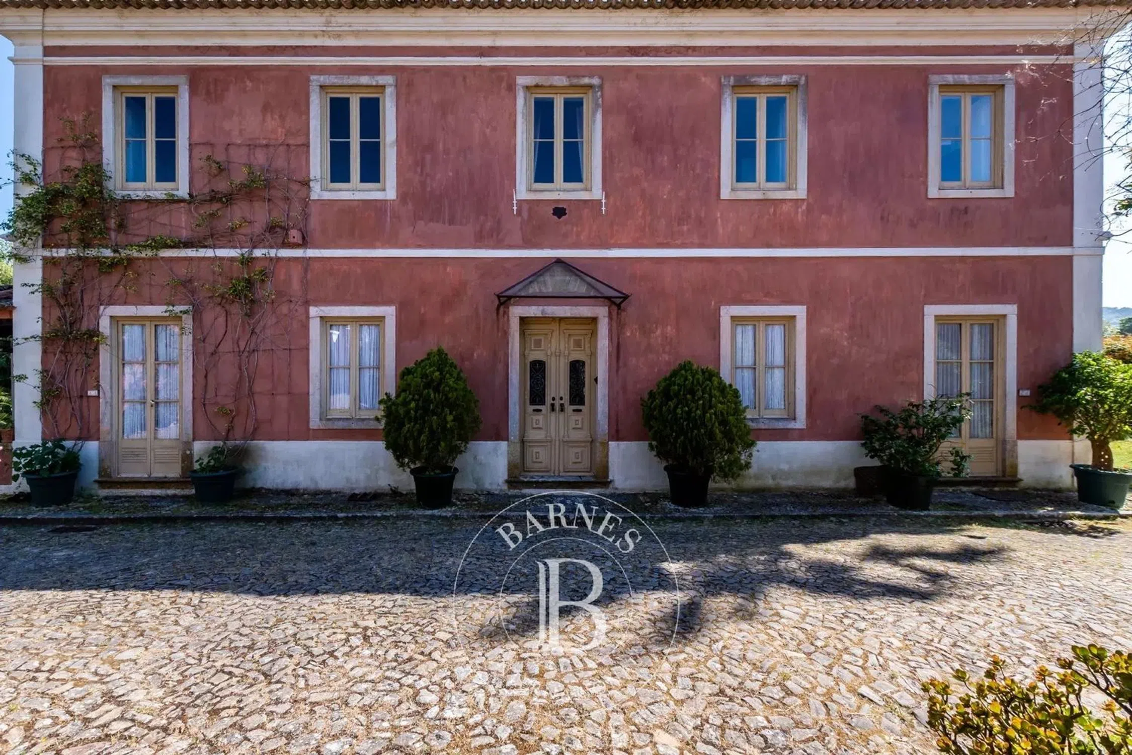 Quinta - Photo 8