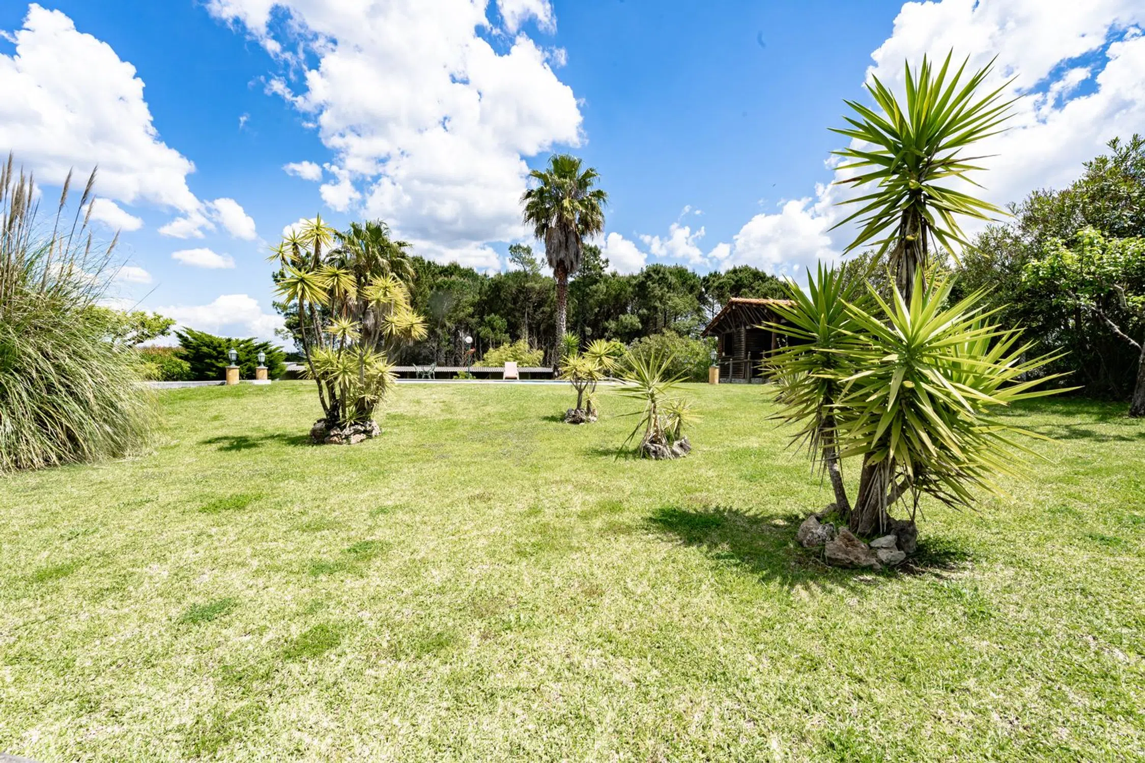 Quinta em quinta dos Lagares - Photo 17