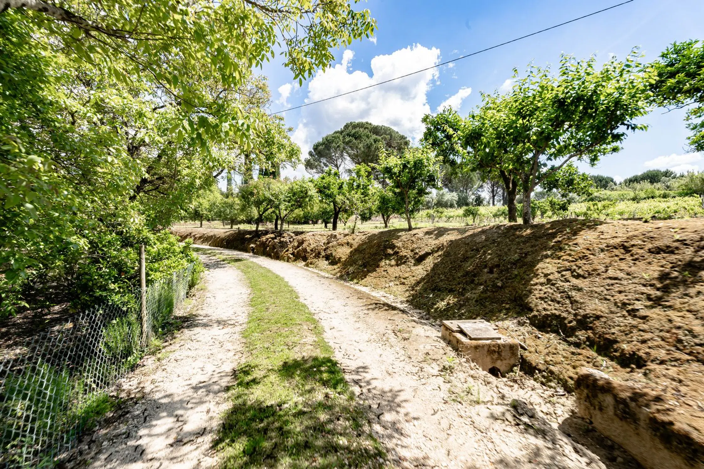 Quinta em quinta dos Lagares - Photo 19