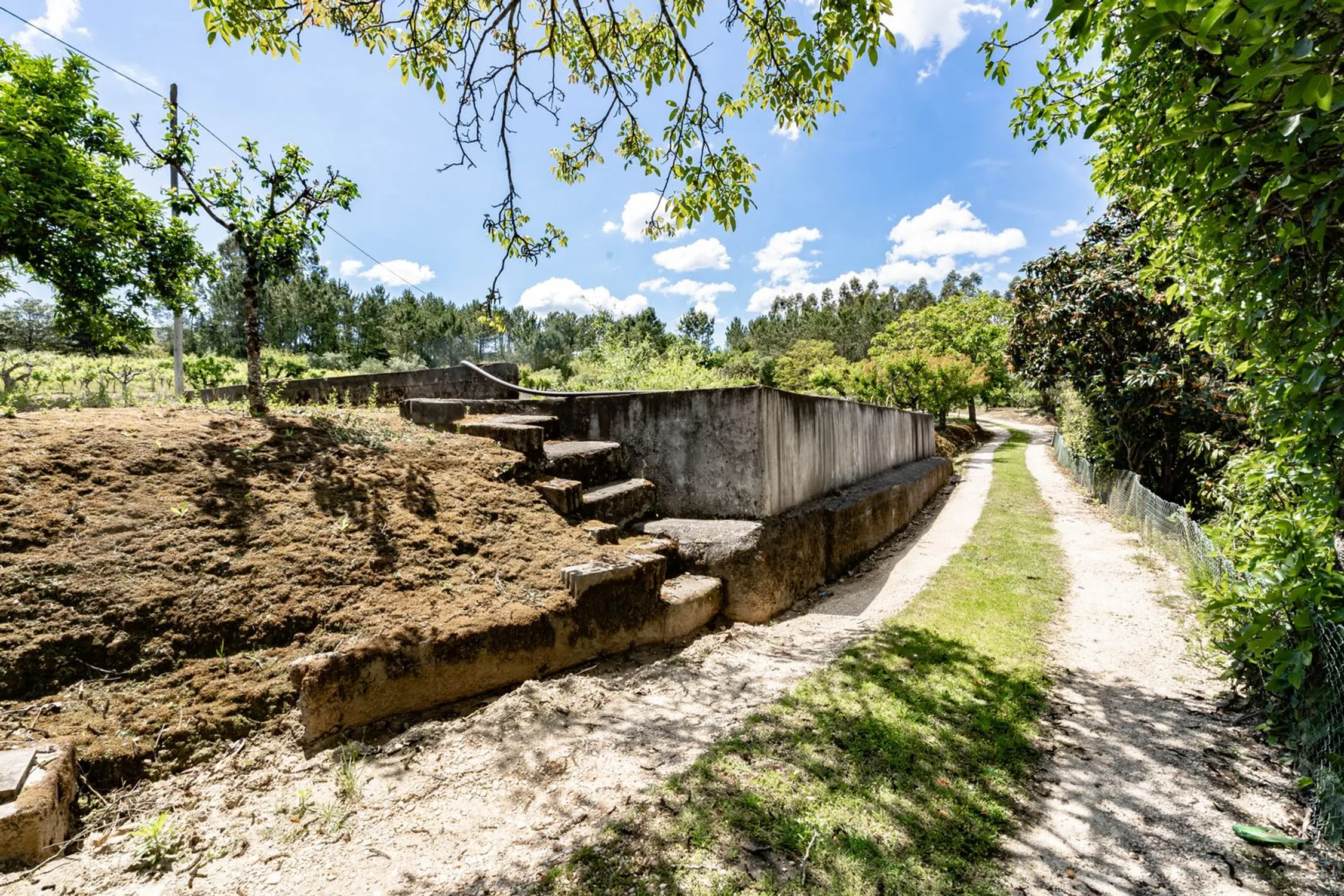 Quinta em quinta dos Lagares - Photo 20