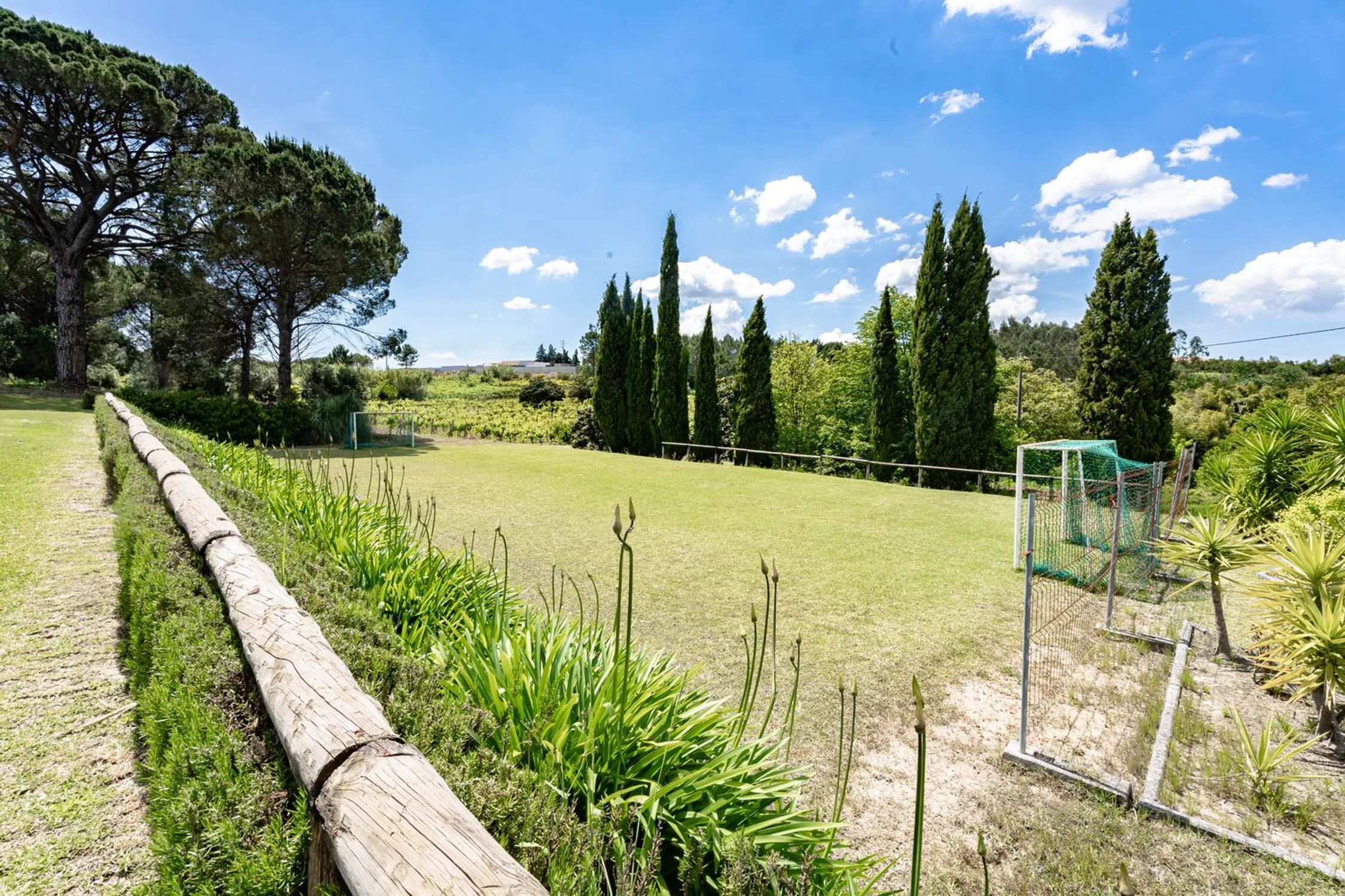 Quinta em quinta dos Lagares - Photo 10