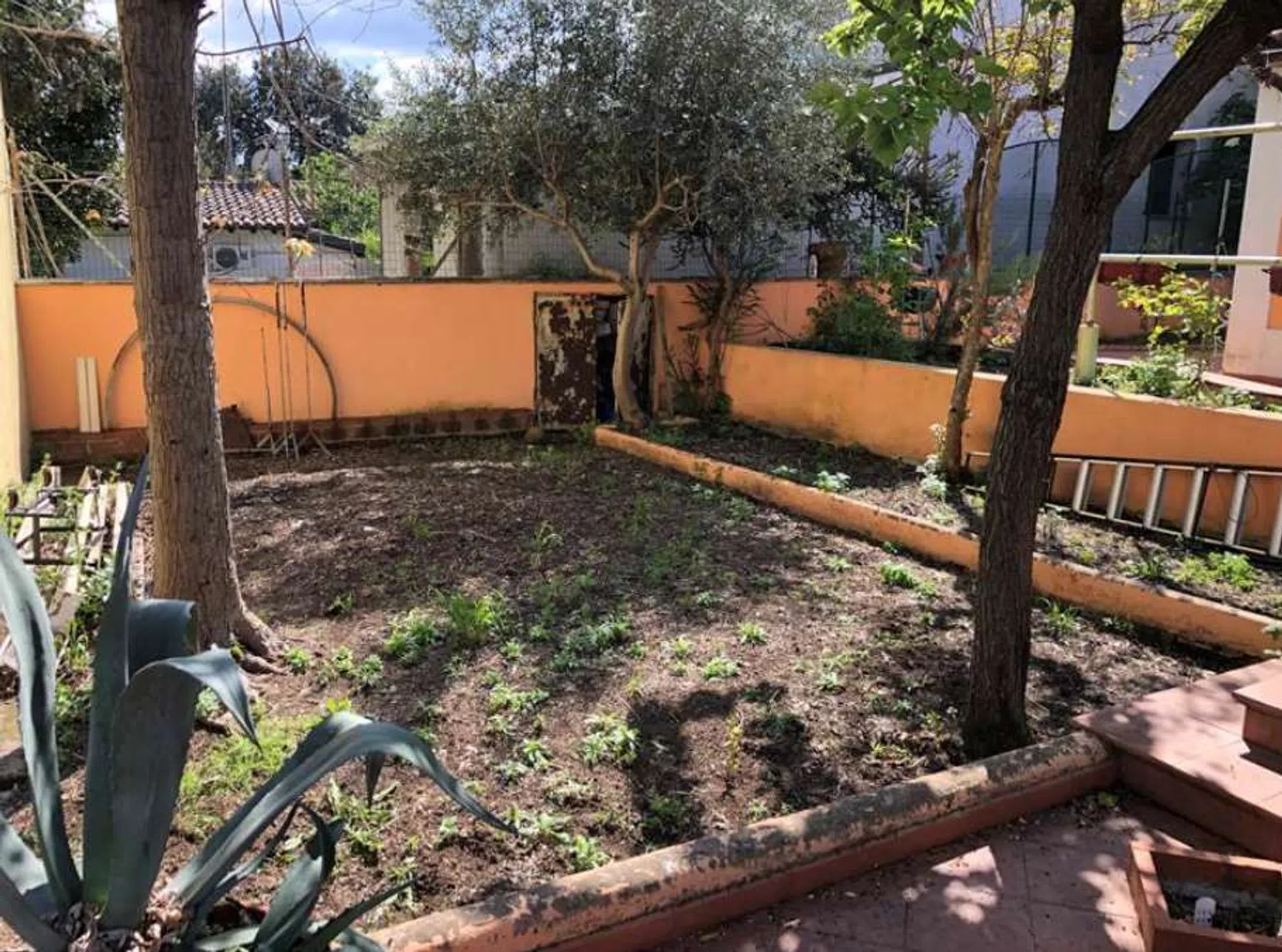 Appartamento in vicolo di Vigna Mangani s.n.c. - Photo 4
