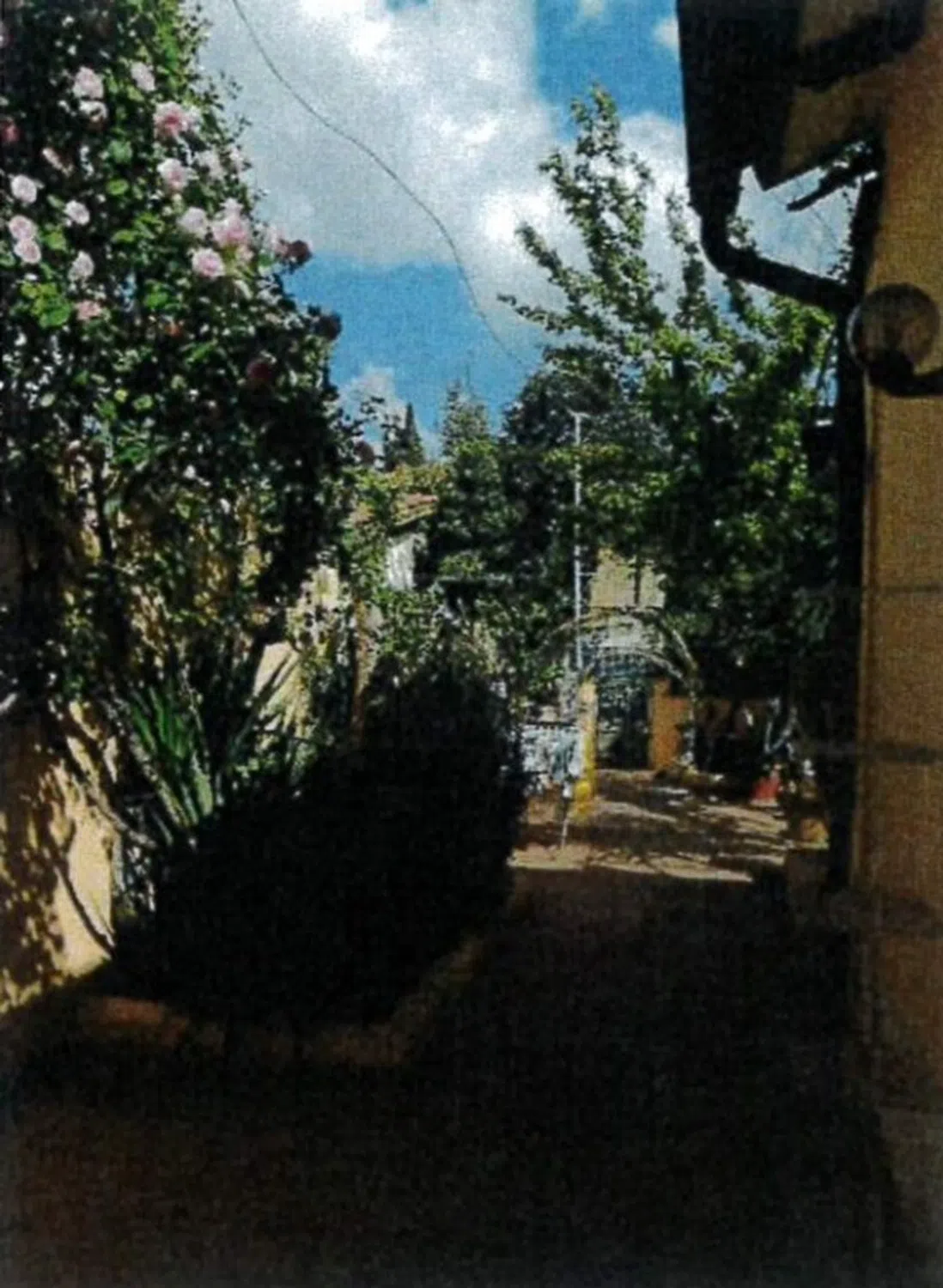 Villetta a schiera in vicolo di Vigna Mangani, 20 - Photo 18