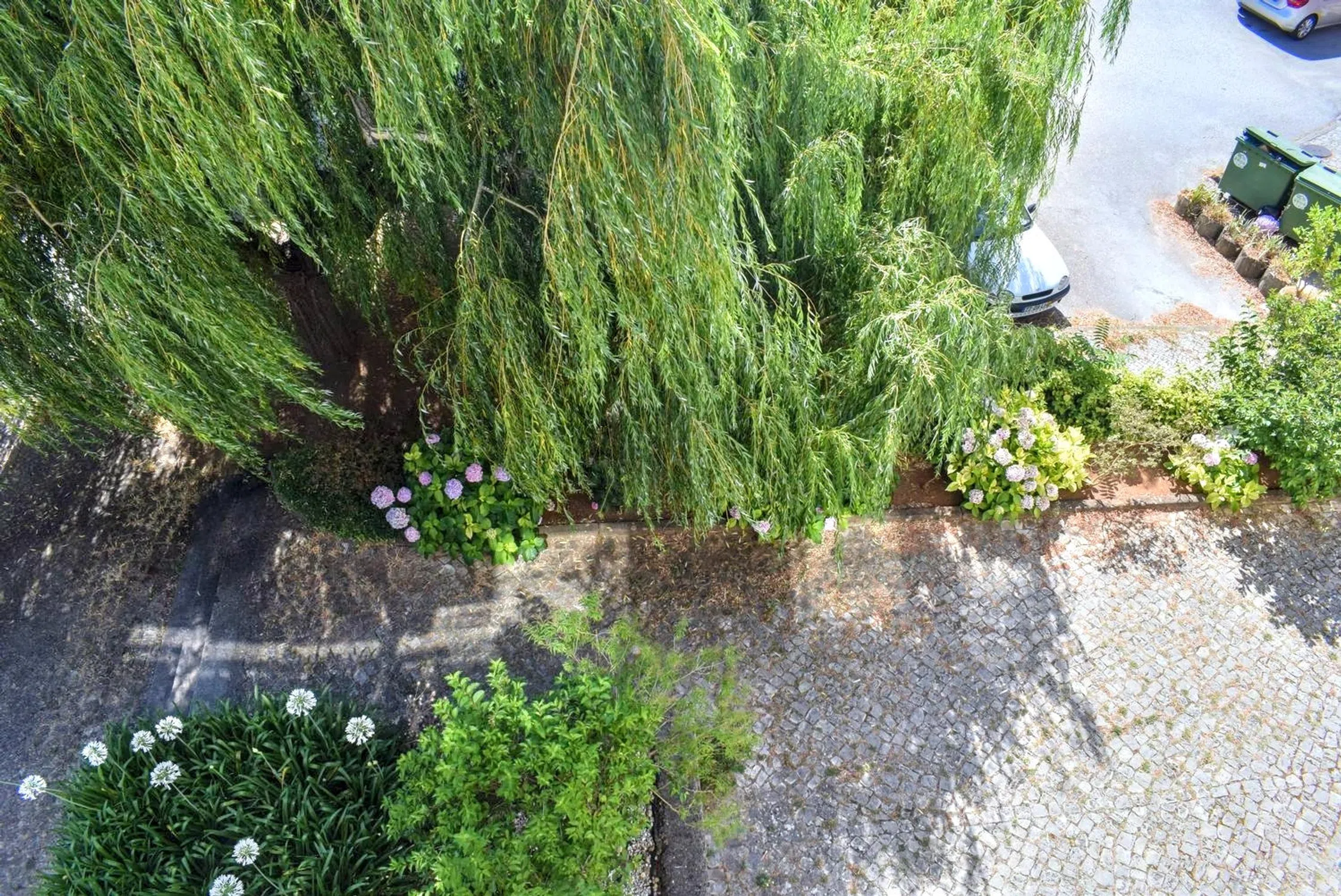 Apartamento em Urbanização Bela Vista - Photo 15