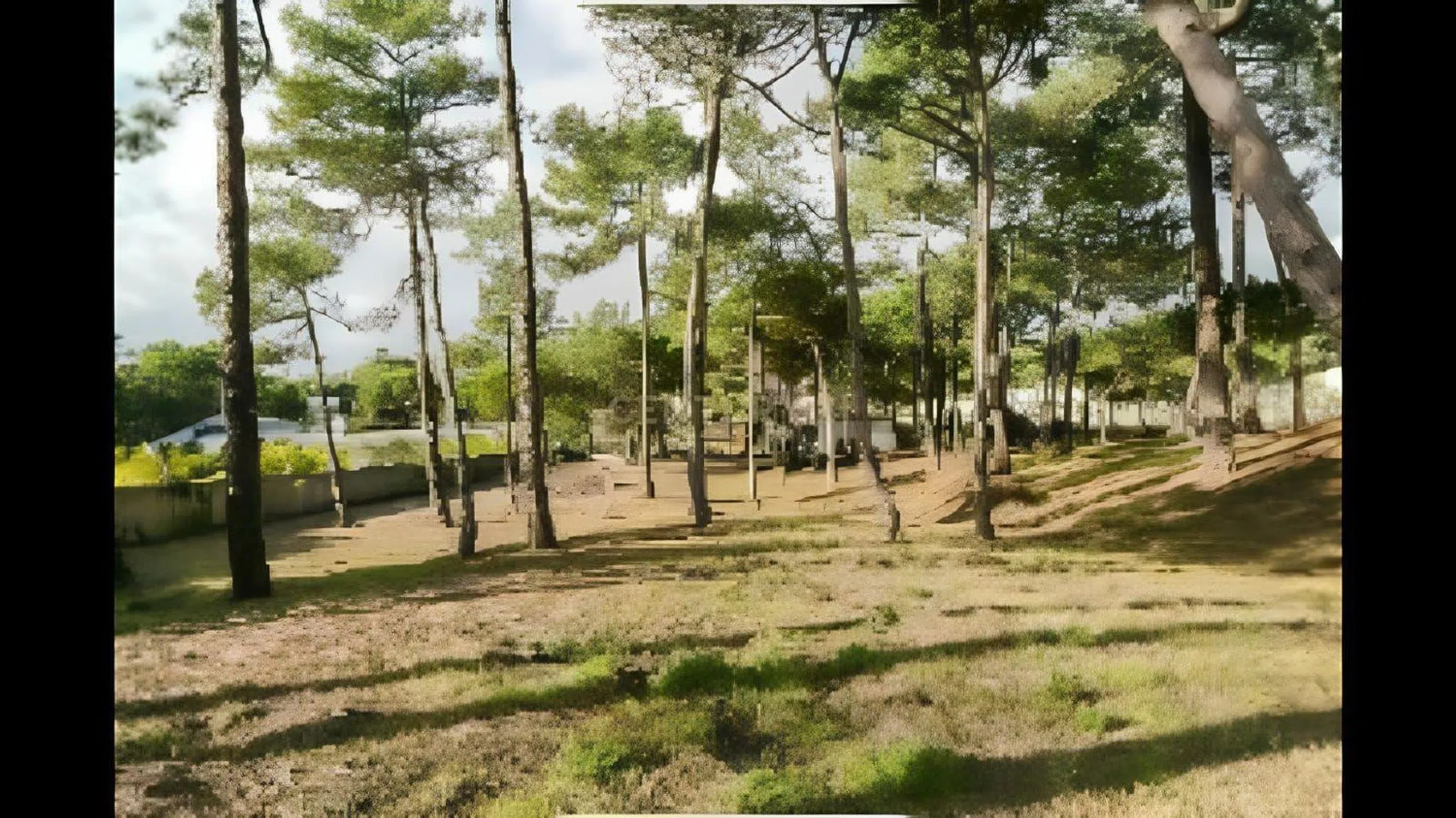 Herdade na rua do Pinhal, 43 - Photo 6
