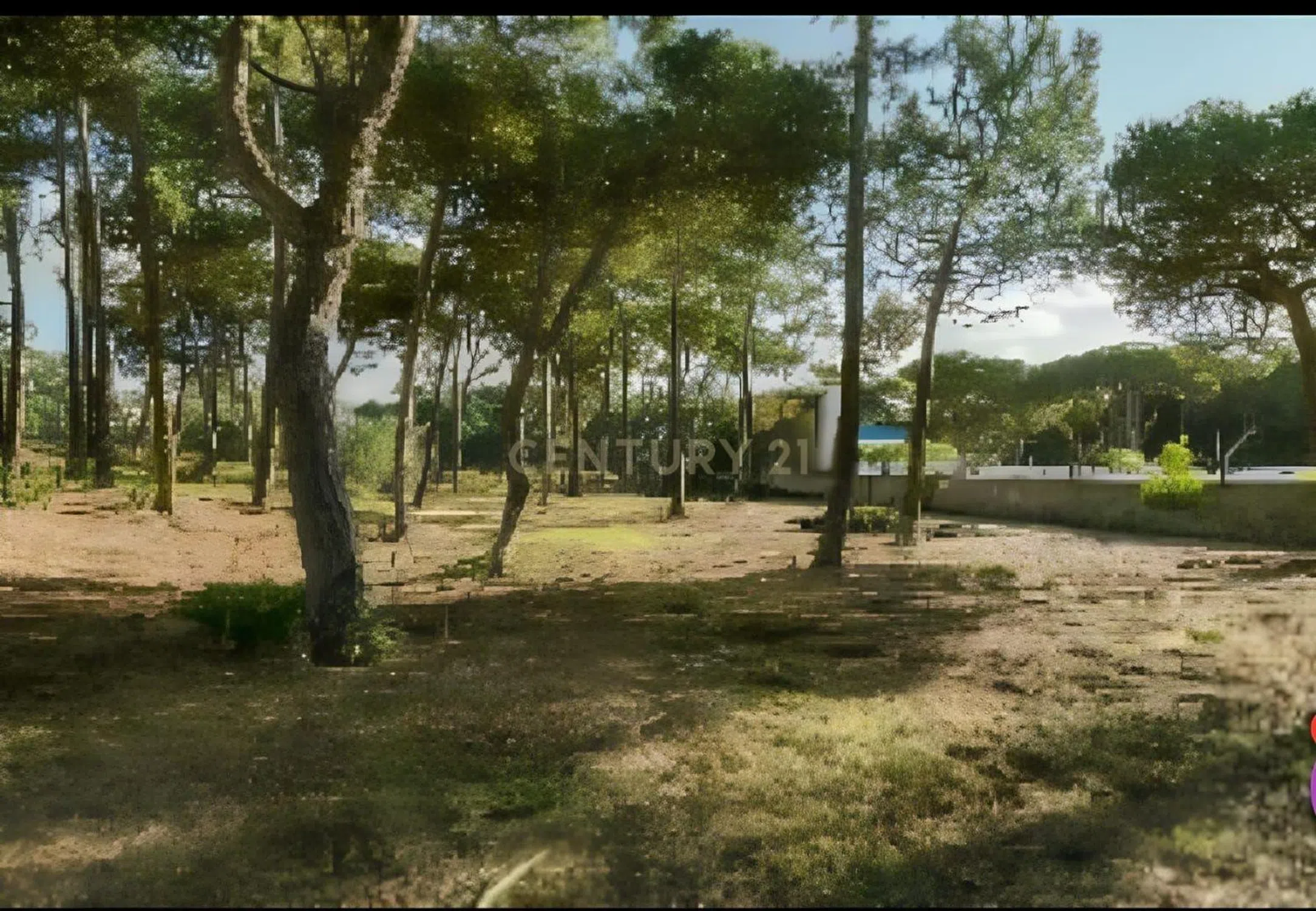 Herdade na rua do Pinhal, 43 - Photo 7