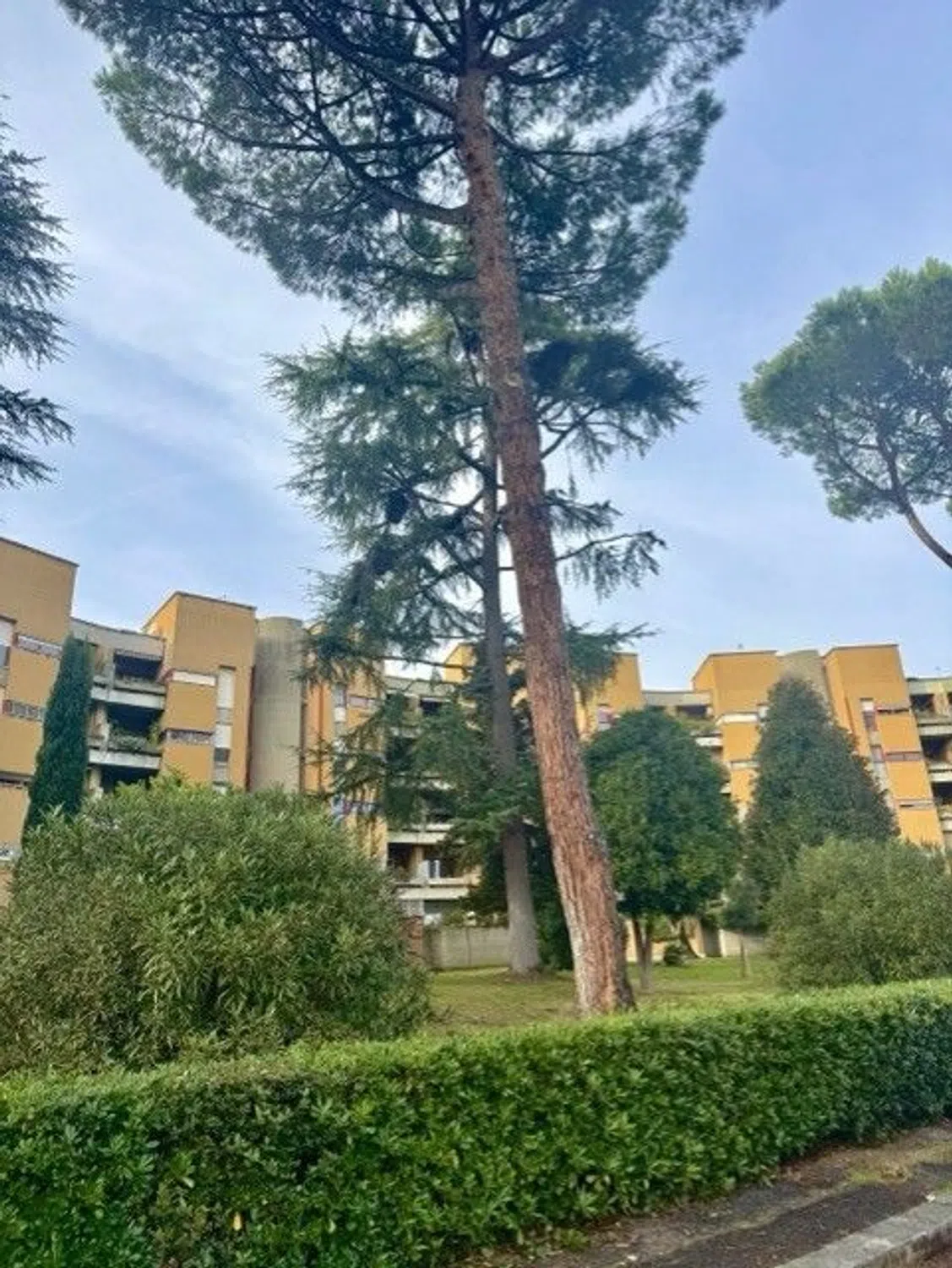 Bilocale in via Carlo Giuseppe Bertero, 49 - Photo 14
