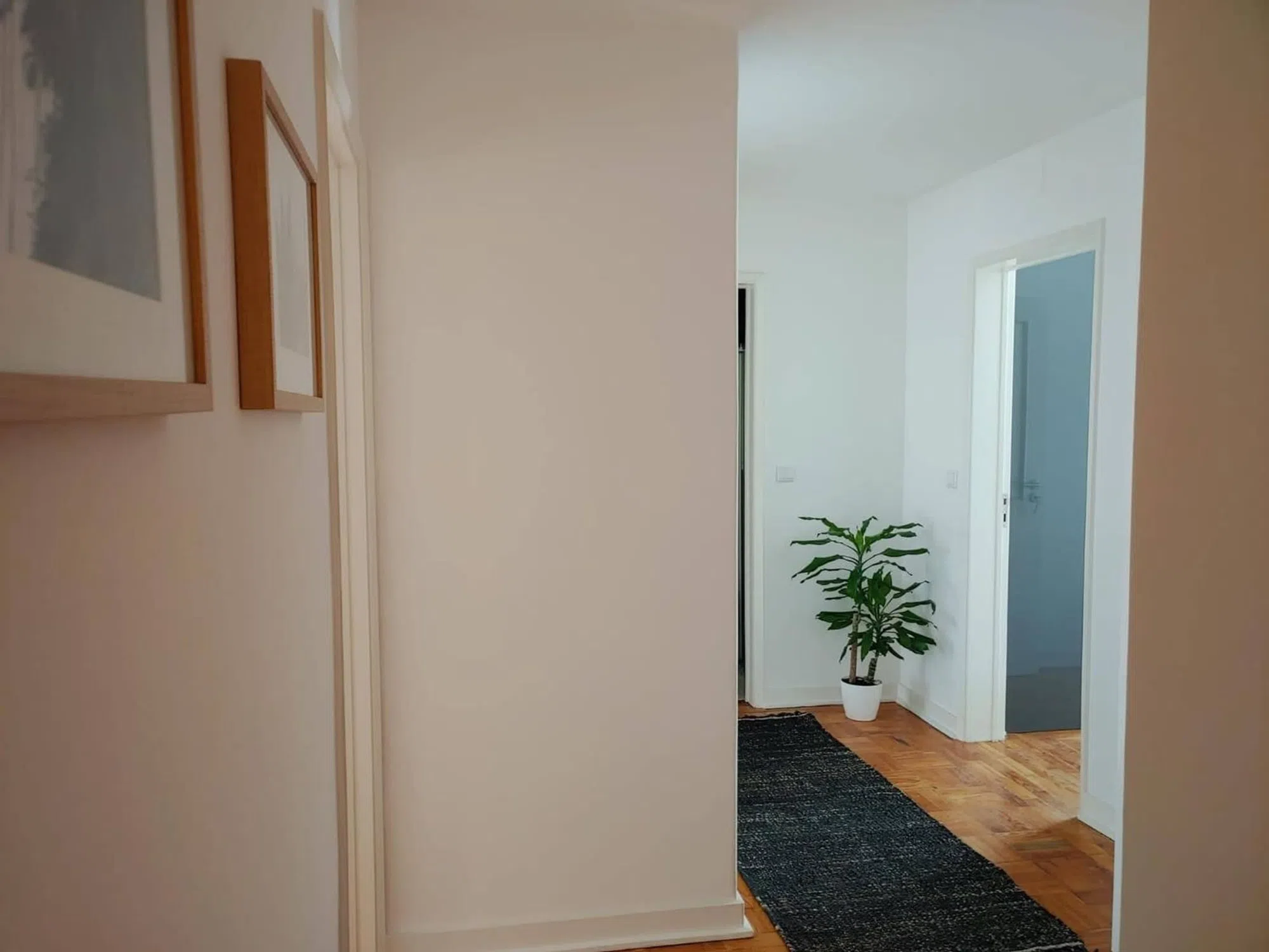 Apartamento na avenida Fernão de Magalhães - Photo 8