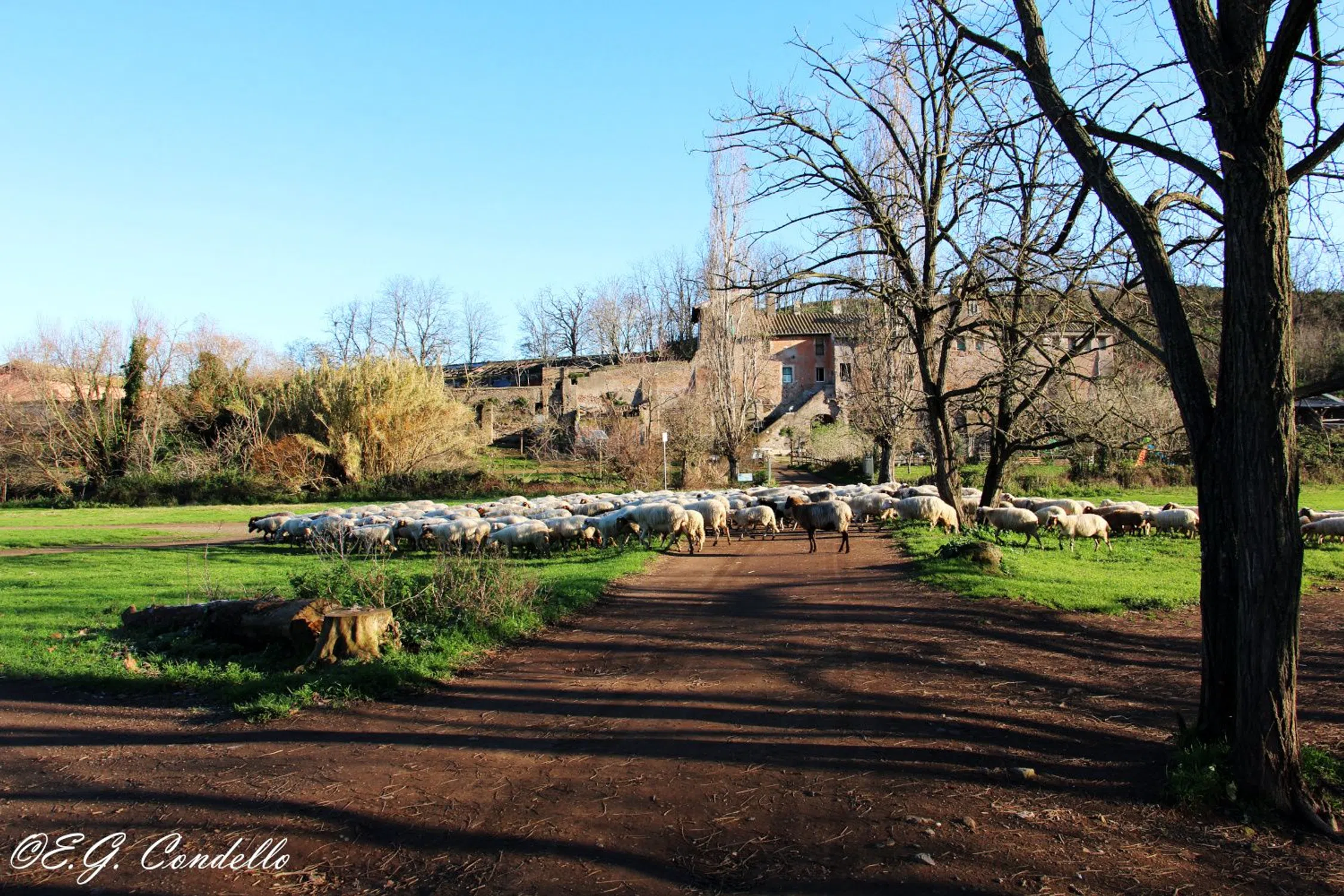 Quadrilocale in via Ettore Ciccotti, 20 - Photo 2