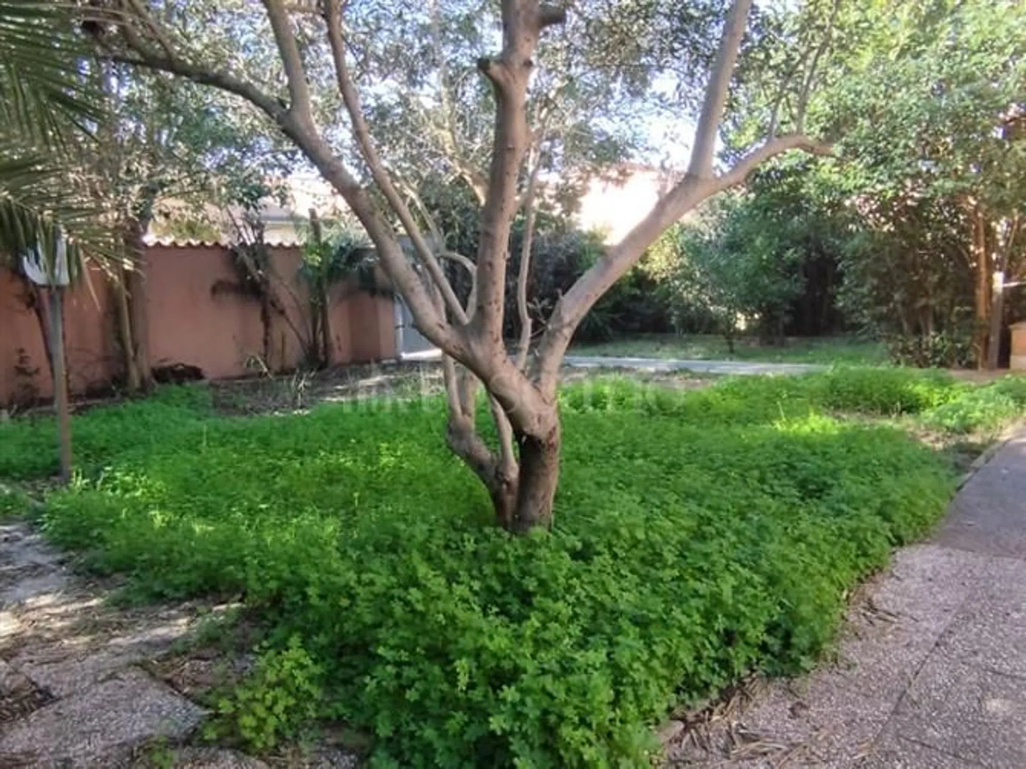 Villa in via Giuseppe Zais - Photo 5
