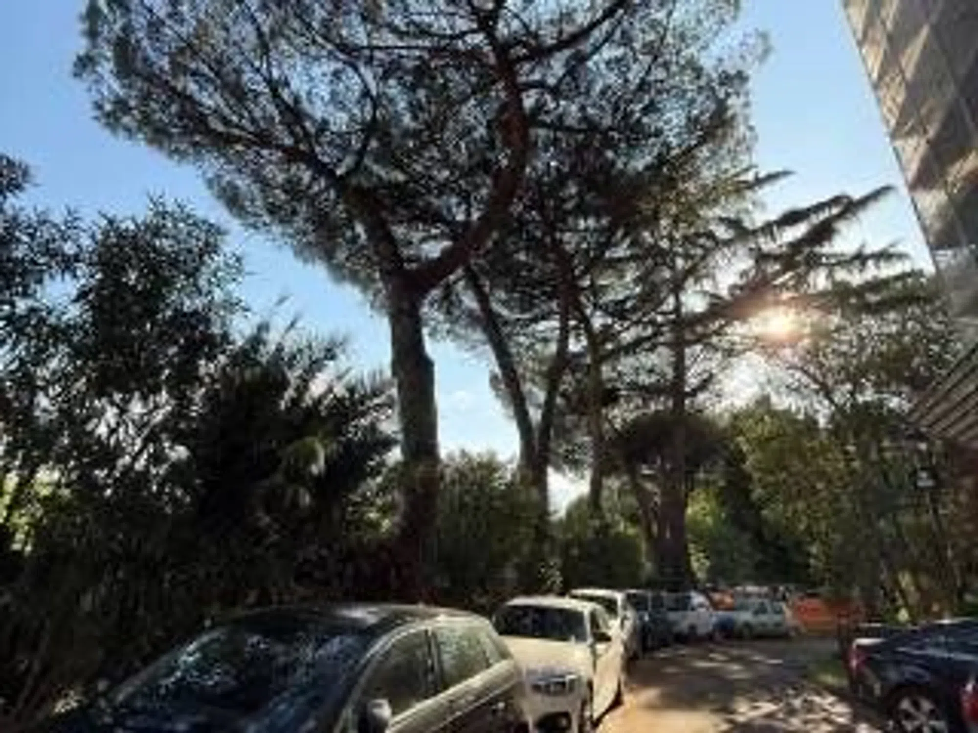 Quadrilocale in via Federigo Verdinois, 8 - Photo 4