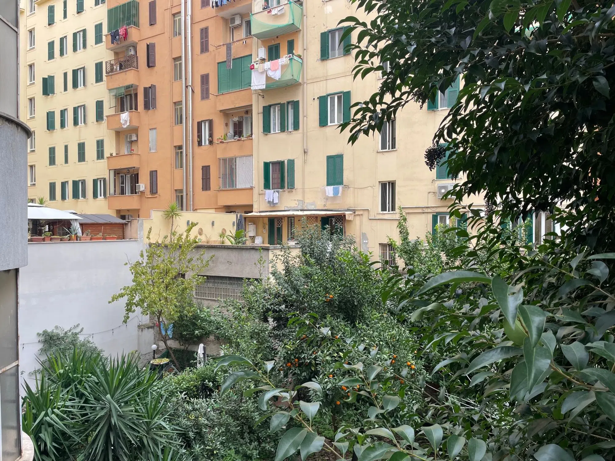 Trilocale in via Francesco Valesio s.n.c. - Photo 16