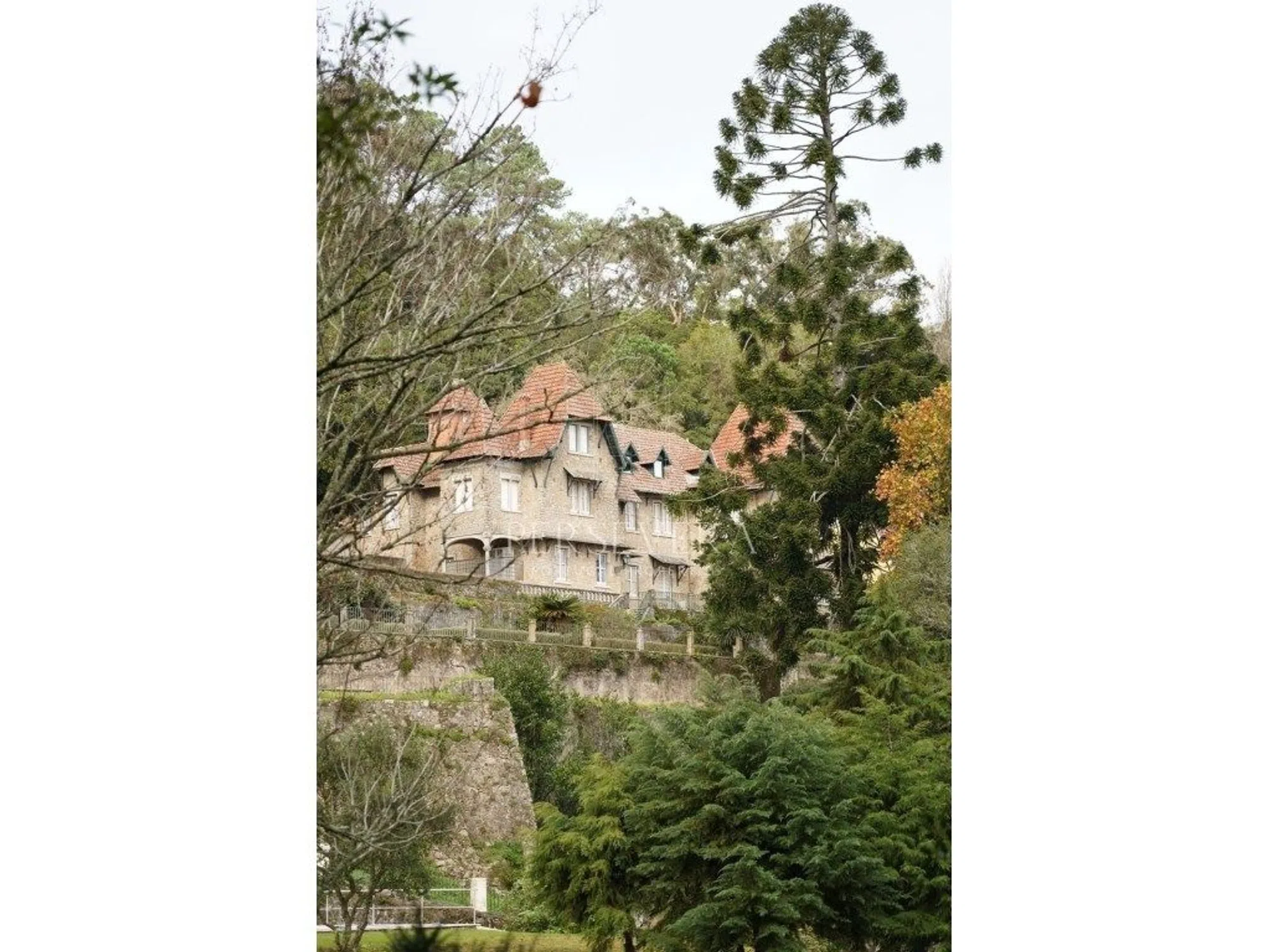 Palácio - Photo 8