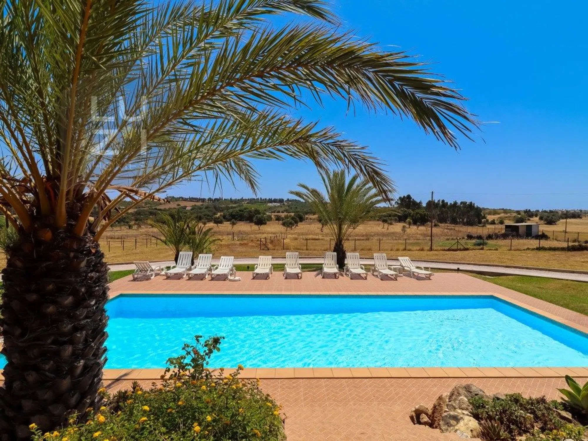 Quinta em quinta de São Roque - Photo 5