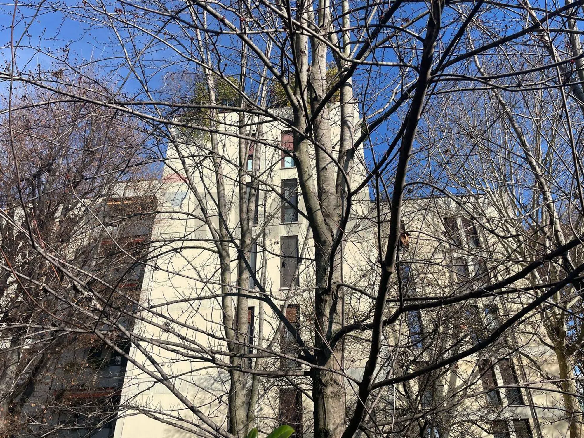 Quadrilocale in via dei Canzi, 22 - Photo 3