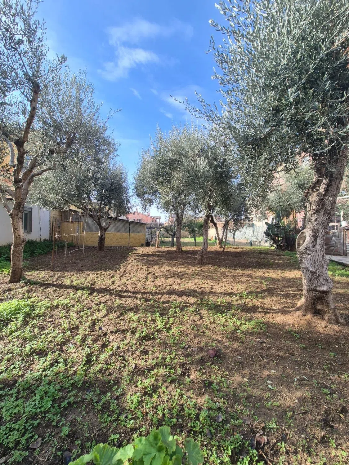 Quadrilocale in via Angelo Aliprandi s.n.c. - Photo 20