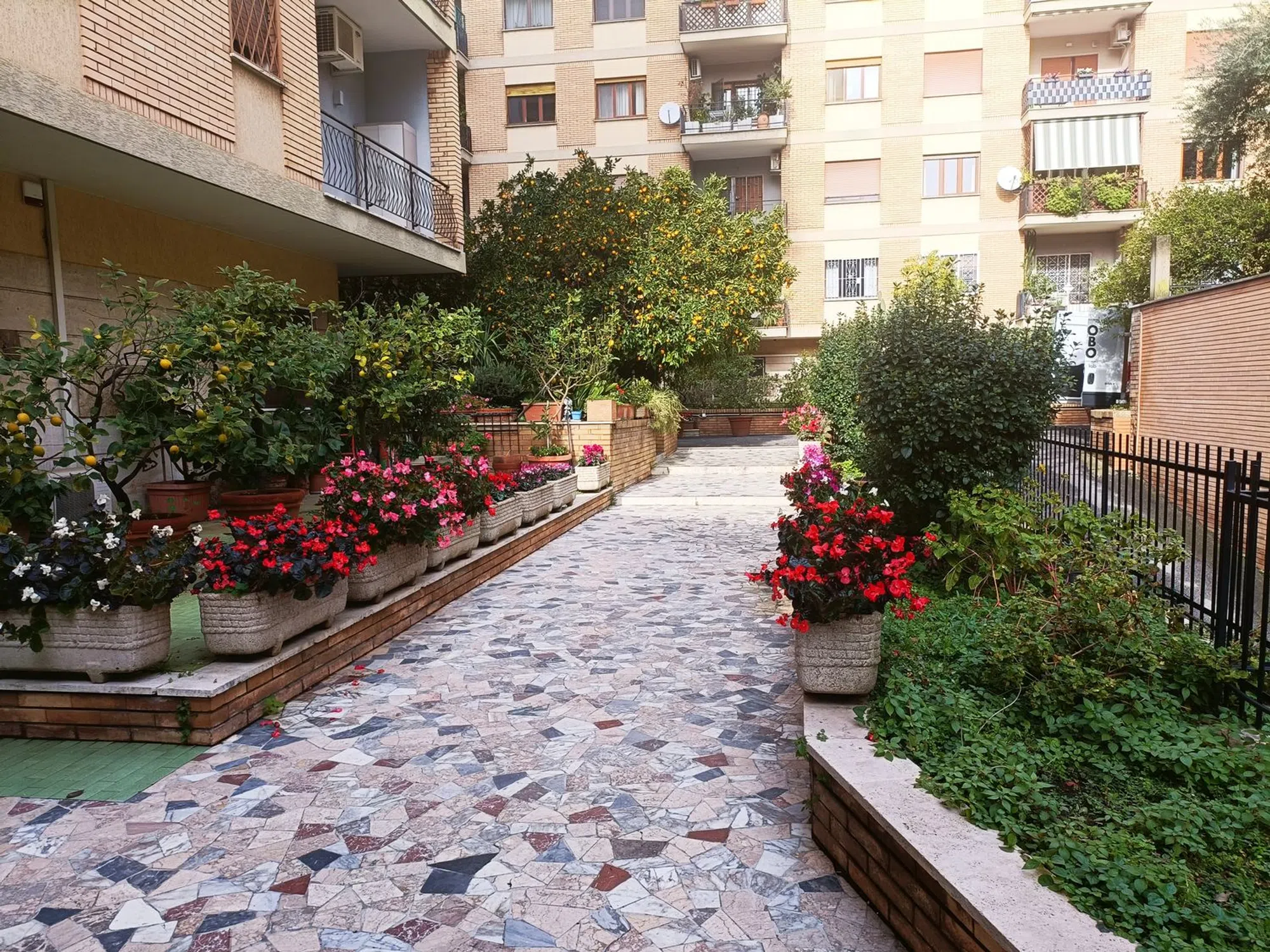 Trilocale in via Luigi Lilio, 51 - Photo 4