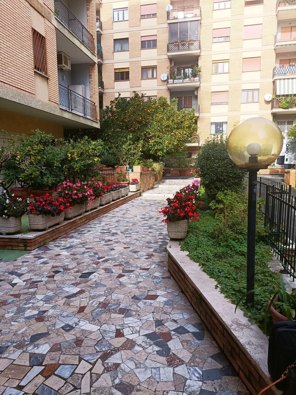 Trilocale in via Luigi Lilio, 51 - Photo 6