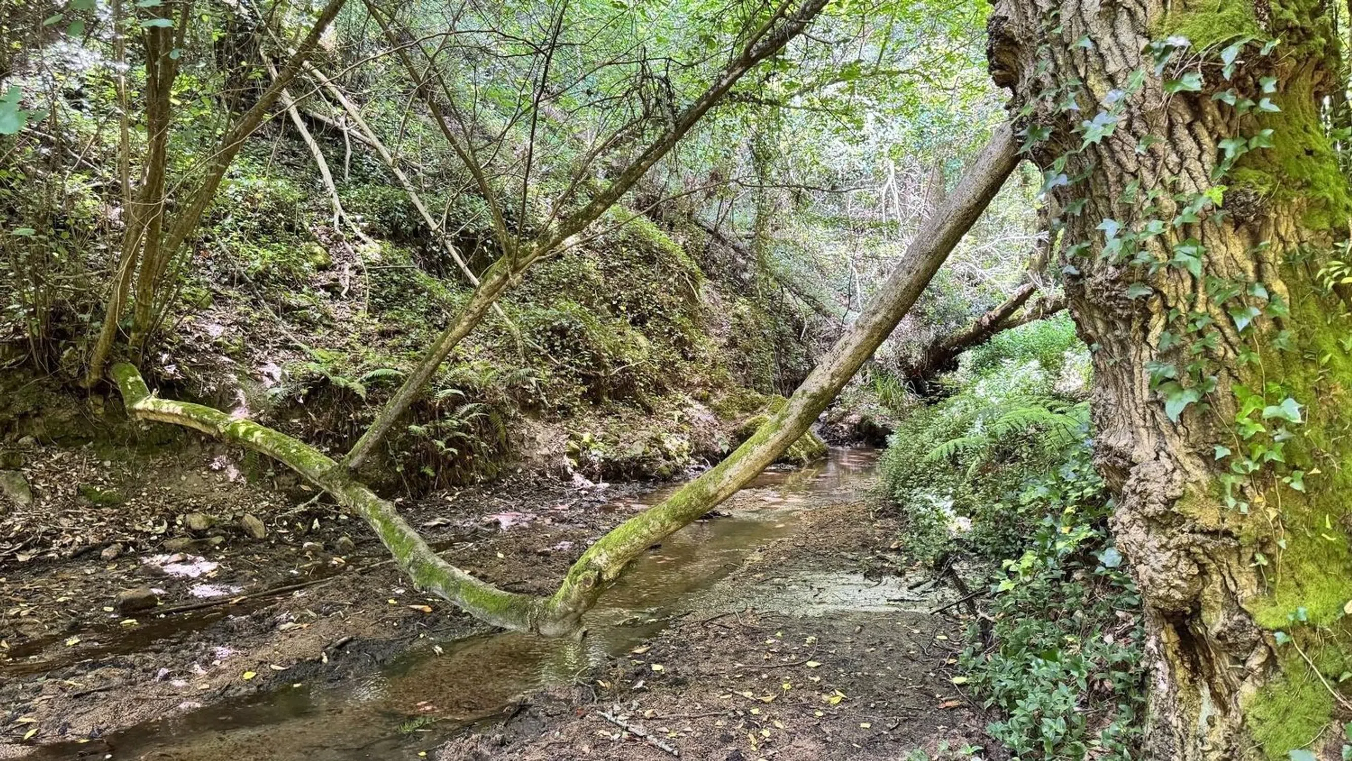 Moradia - Photo 17