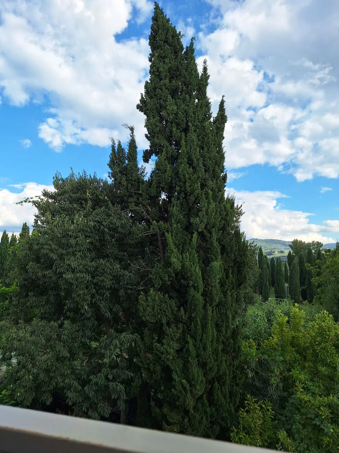 Appartamento in via Sant'Andrea a Rovezzano - Photo 19