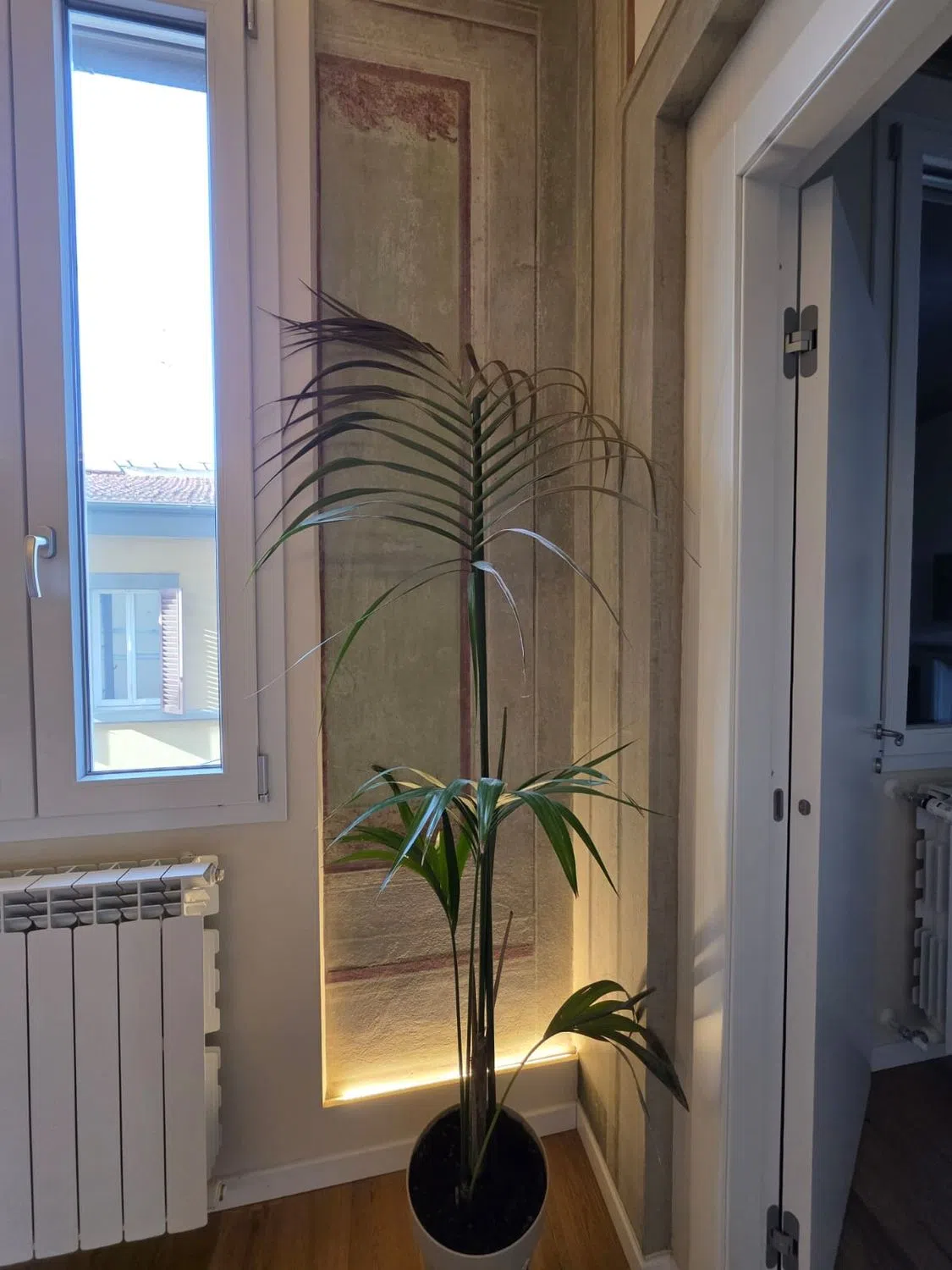 Appartamento in via di Mezzo - Photo 8